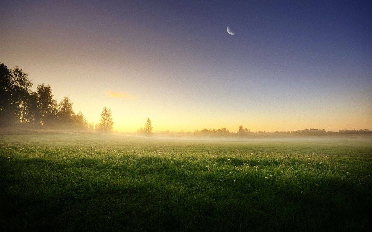 morning glory, green meadow, crescent moon, HD Desktop Wallpaper