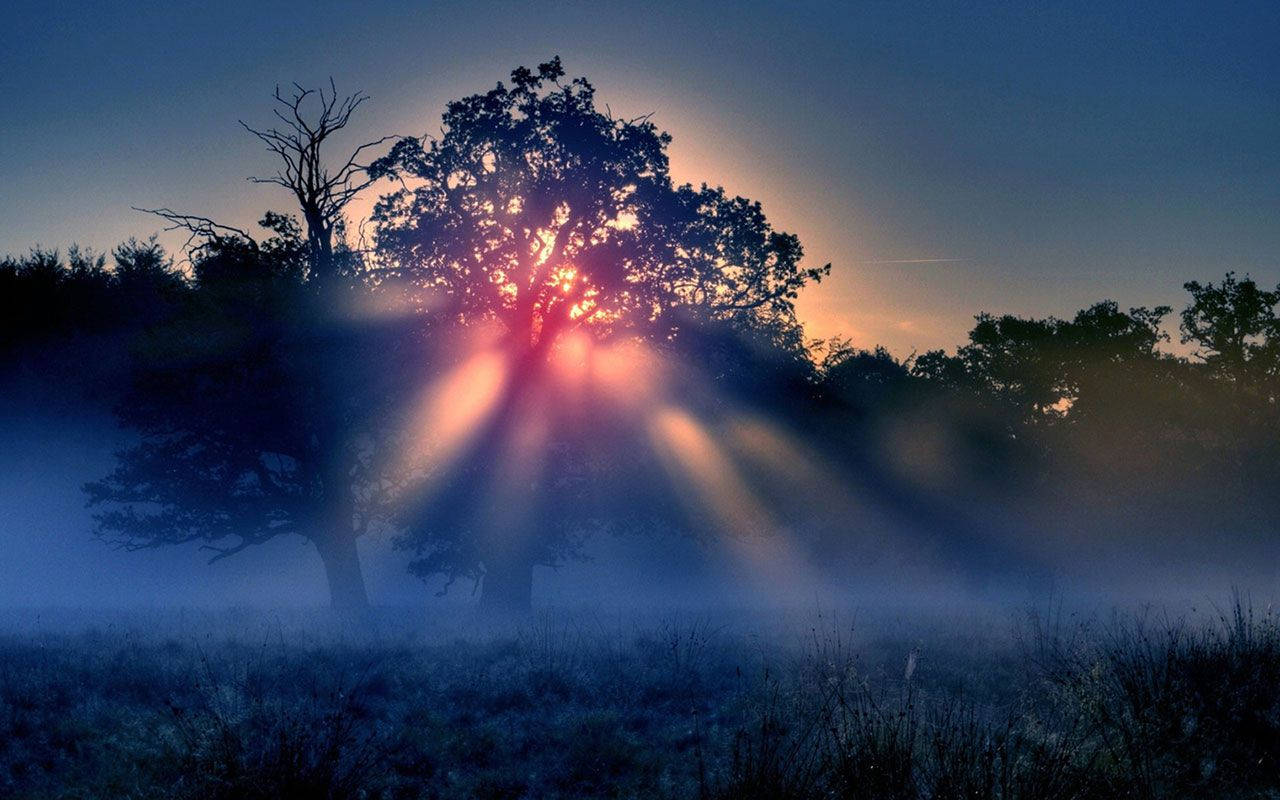 Morning Glory, sun rays, dawn, HD Desktop Wallpaper