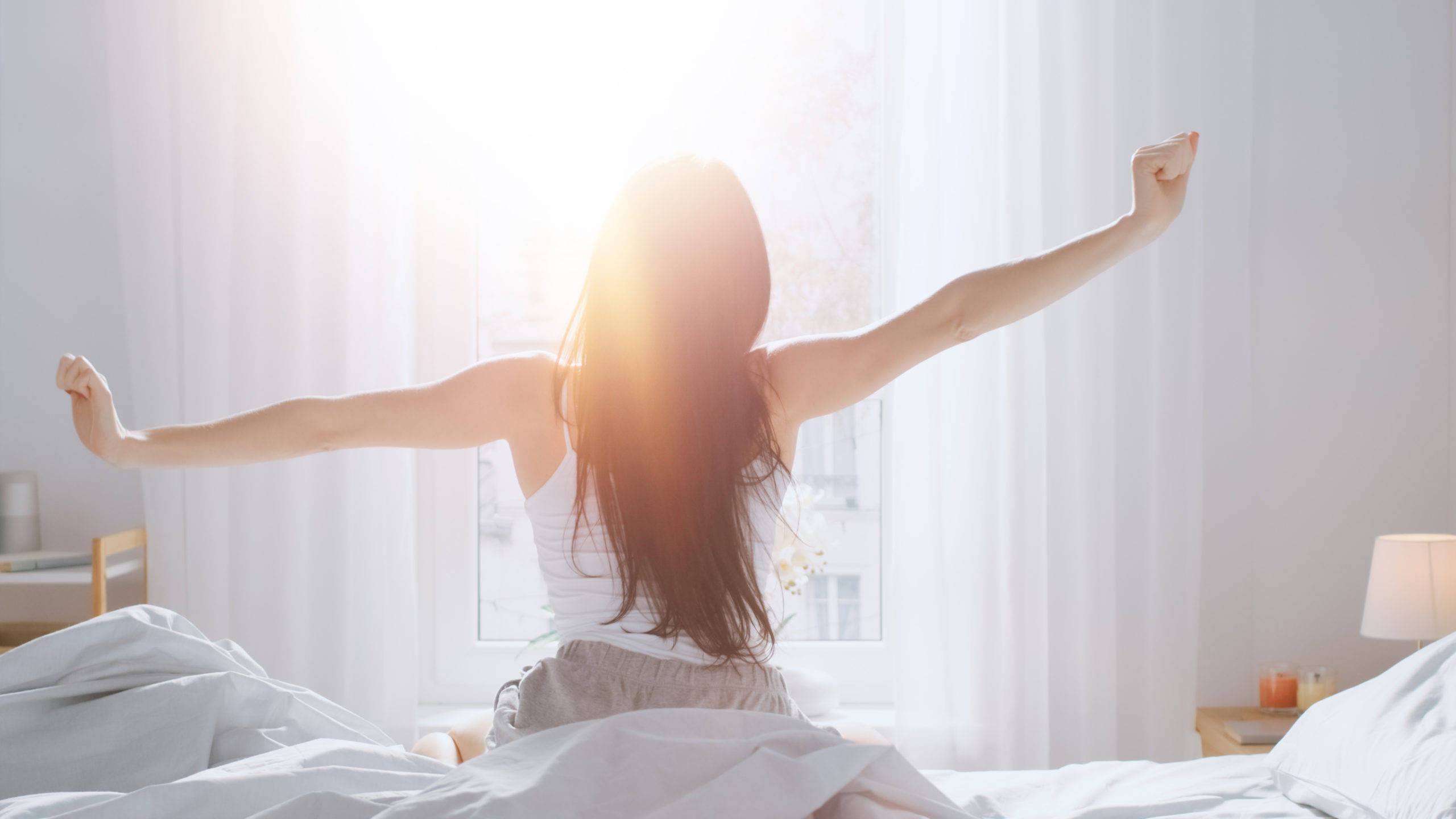 Morning Glory, sunrise, morning sun, 2K Desktop Wallpaper