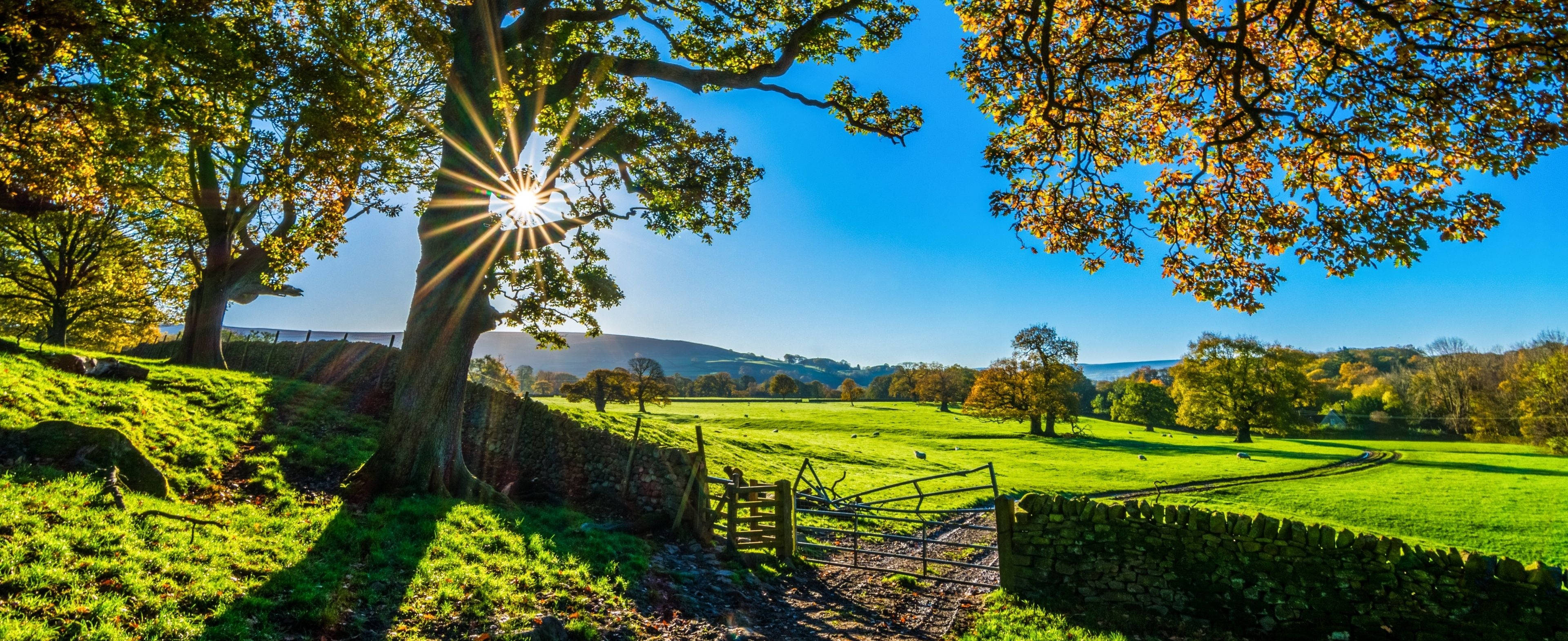 3840x1600, Bright Morning On Green Meadows, sunburst, 4K Desktop Wallpaper
