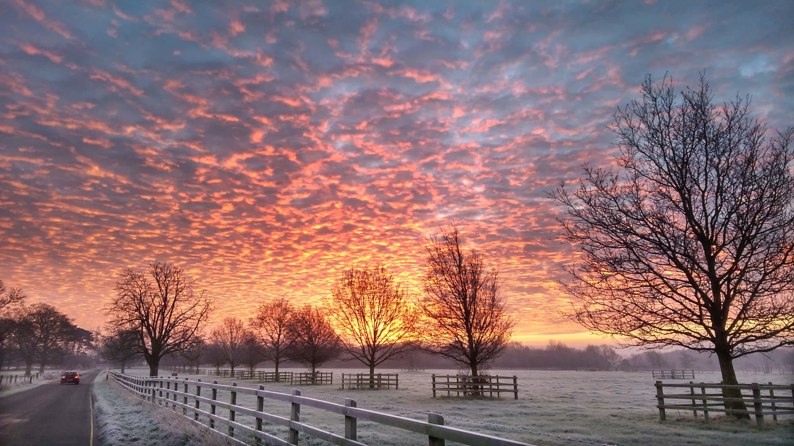 Morning Sunrise, winter, frosty rural road, 2K Desktop Wallpaper