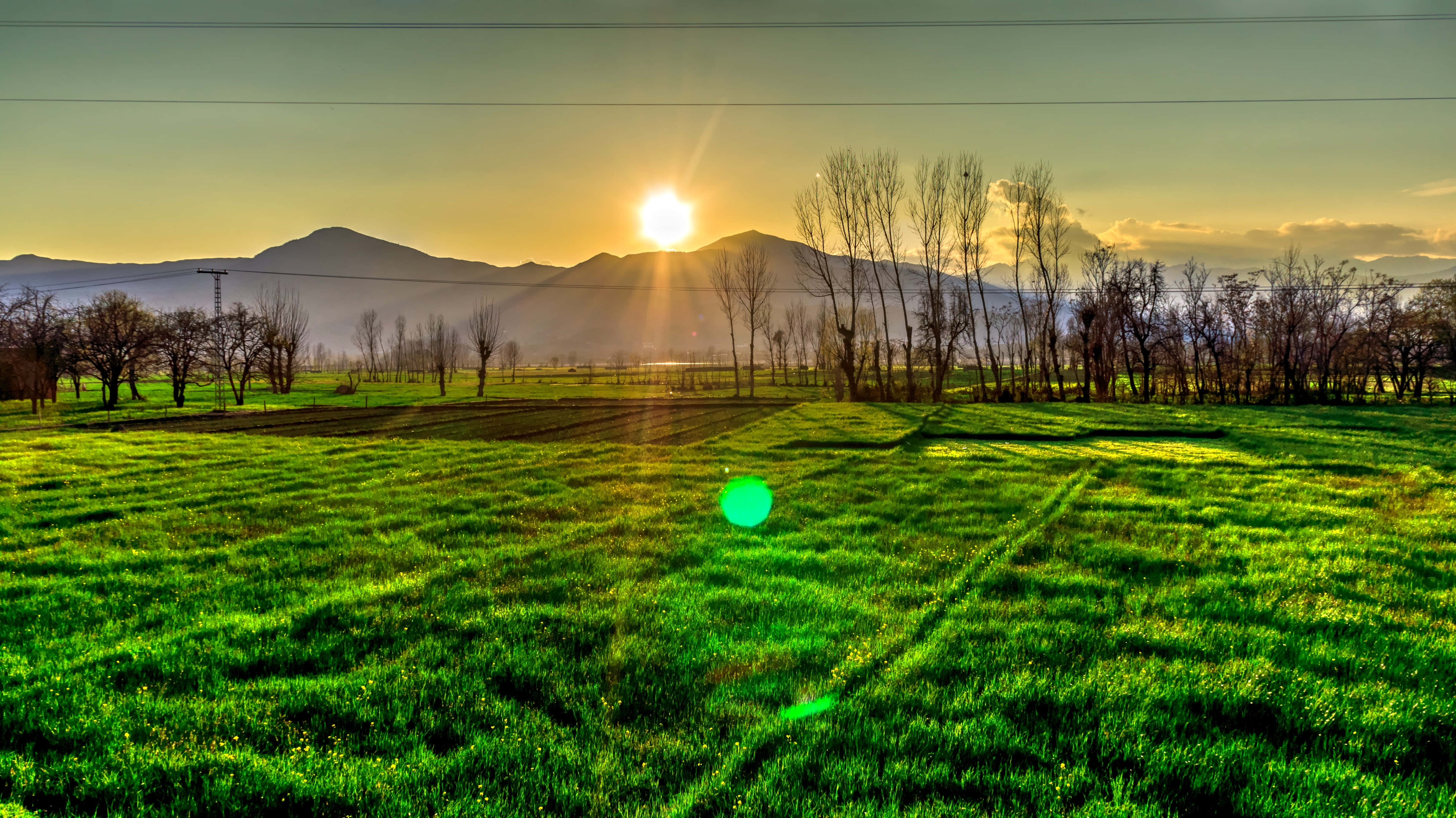 Grassland, Morning Sunrise, vibrant green field, 4K Desktop Wallpaper