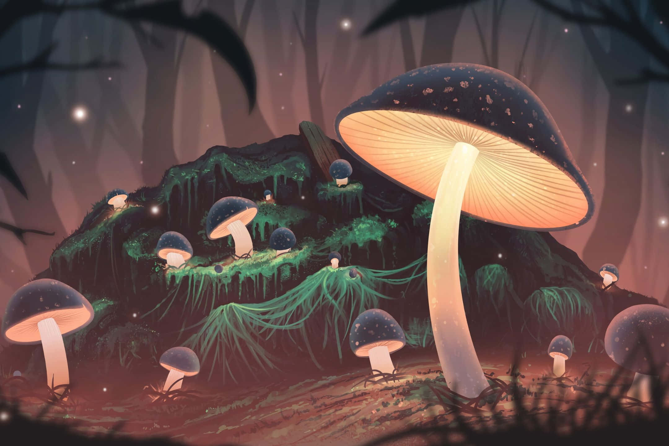 Morning Sunrise, glowing mushrooms, mystical forest floor, Full HD Desktop Wallpaper