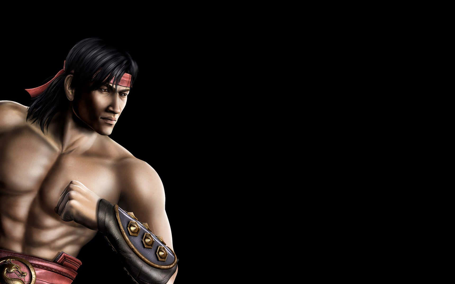Mortal Kombat Characters, anime fighter, black hair, Full HD Desktop Wallpaper