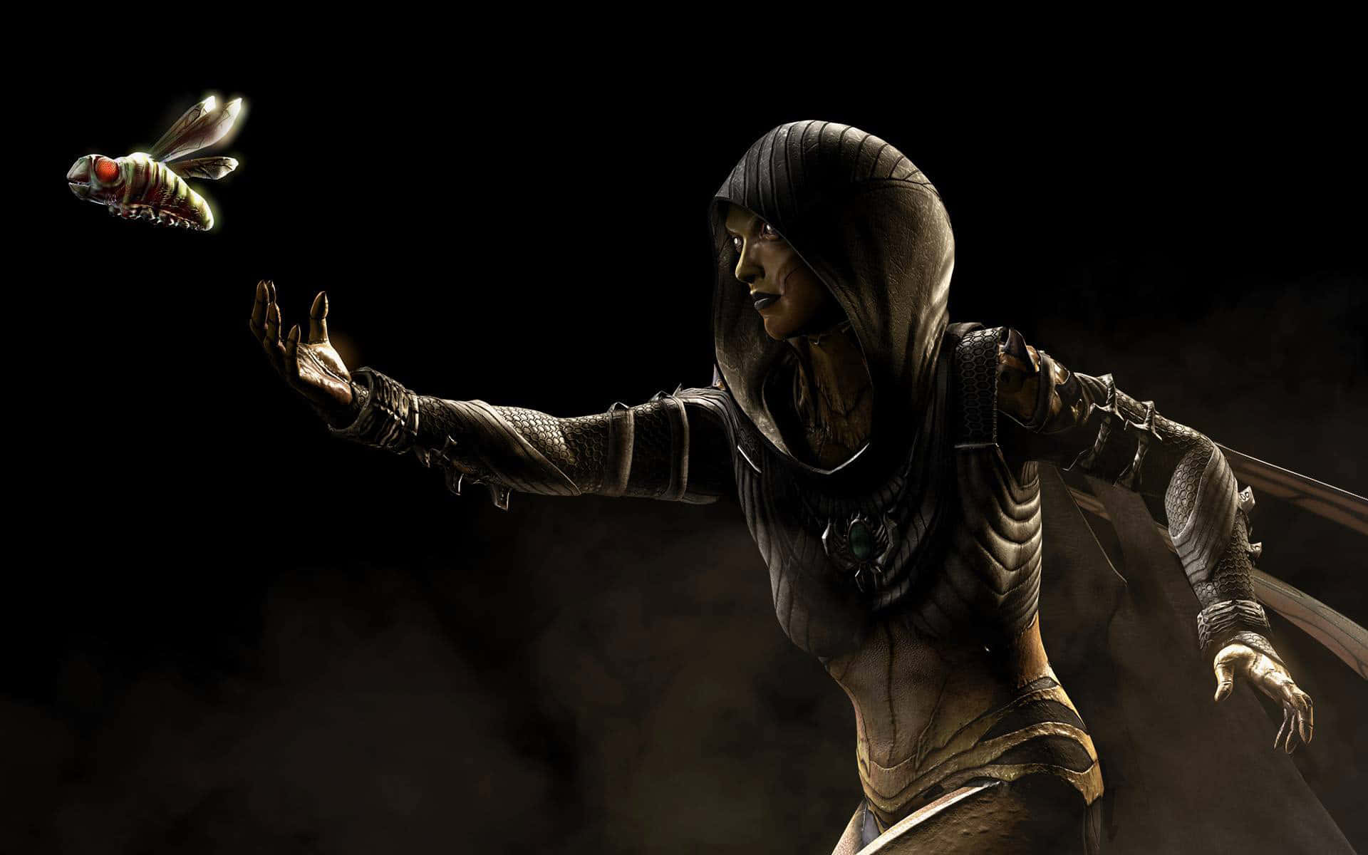 Mortal Kombat Characters, hooded warrior, dark armor, Full HD Desktop Wallpaper