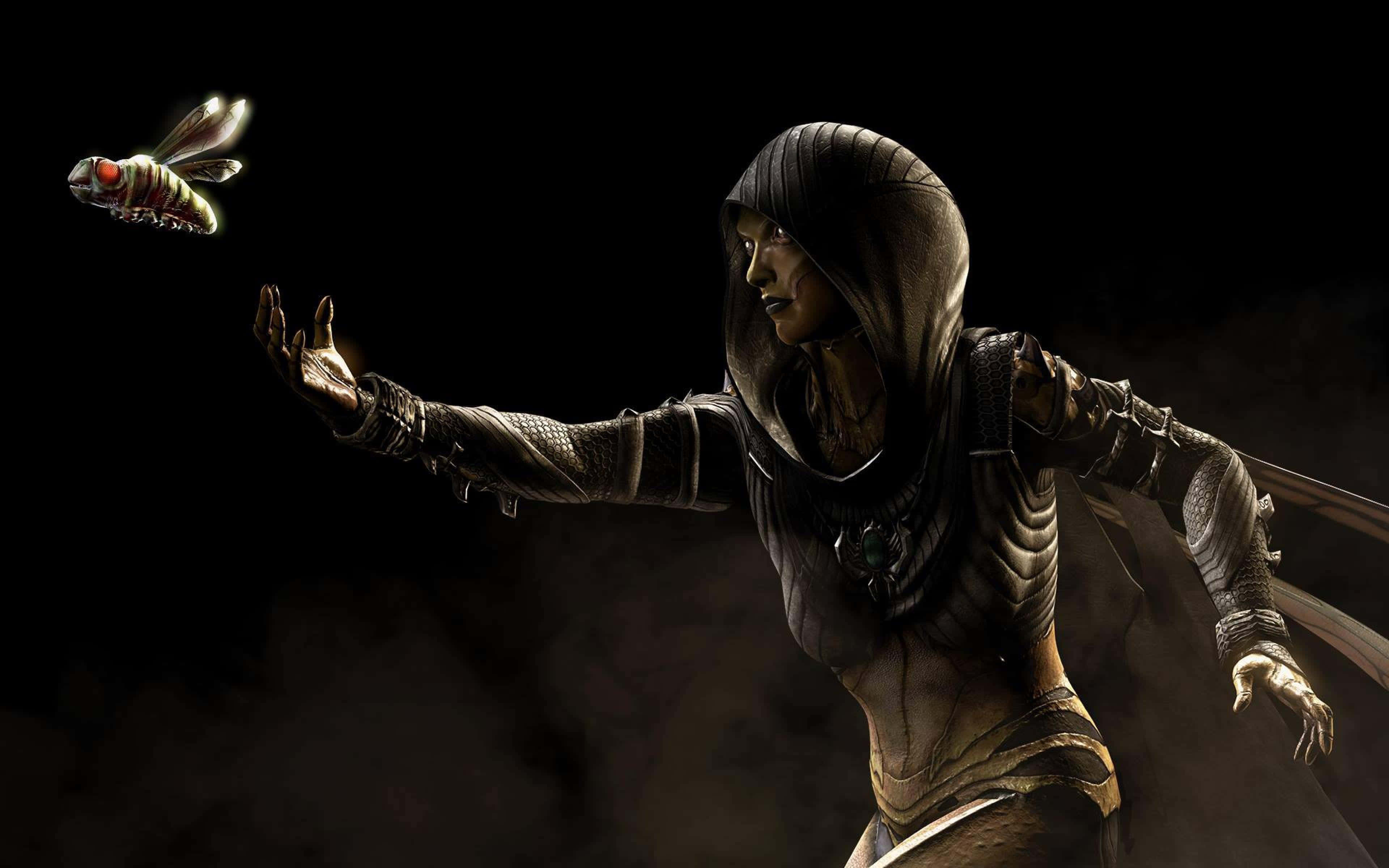Mortal Kombat X, hooded warrior, dark armor, 4K Desktop Wallpaper