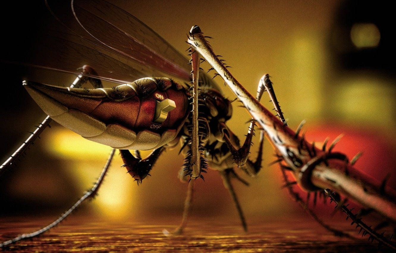 mosquito, glowing red body, spiky legs, HD Desktop Wallpaper