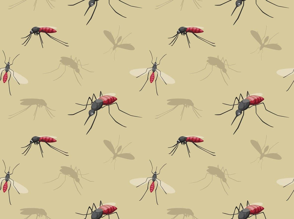 minimalistic cartoon mosquito, red abdomens, grey wings, SD Desktop Wallpaper