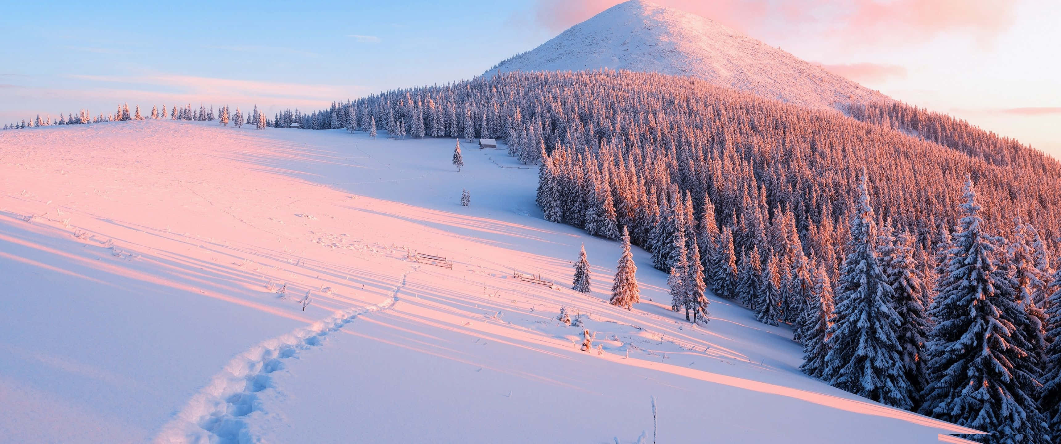 4K PC monitor, 3440 x 1440, snow, 2K Desktop Wallpaper