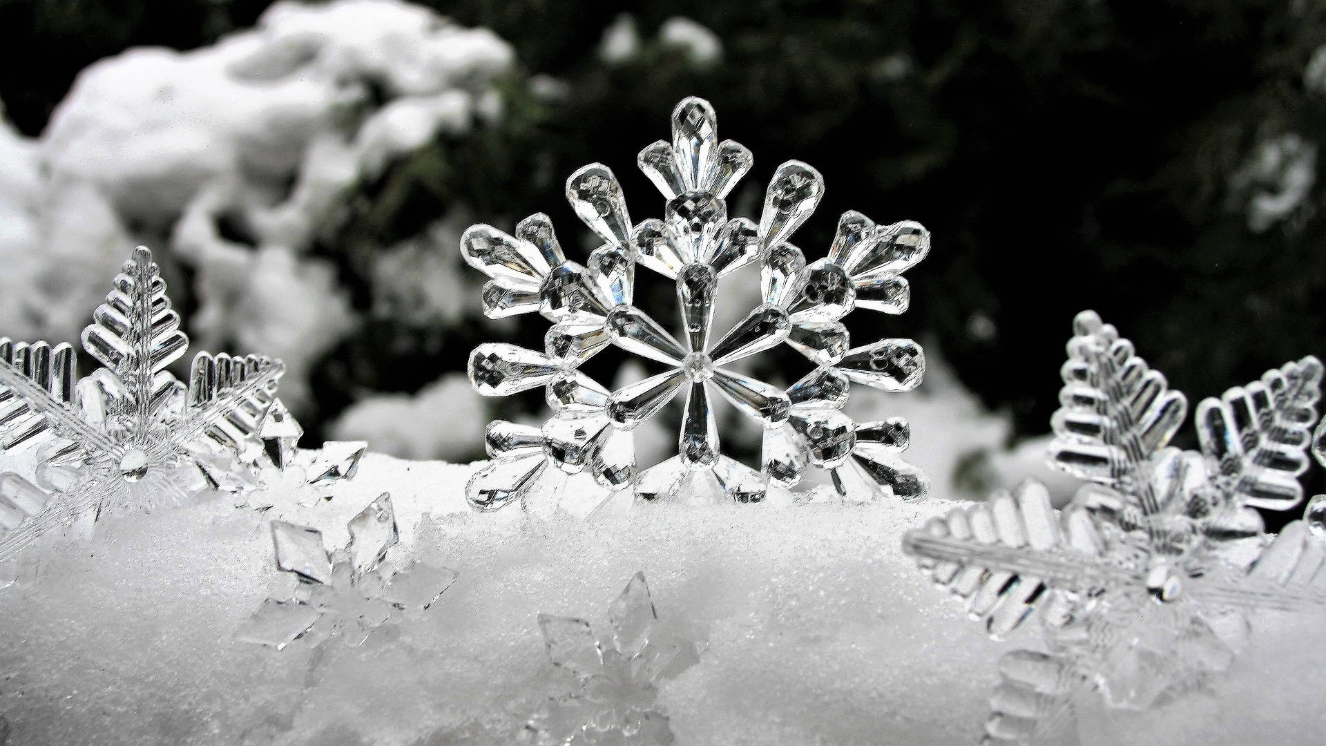 snowflakes, ice crystals, snowy surface, Full HD Desktop Wallpaper