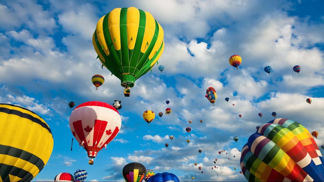 1366x768 HD Desktop, hot air balloons, bright blue sky, HD Desktop Wallpaper