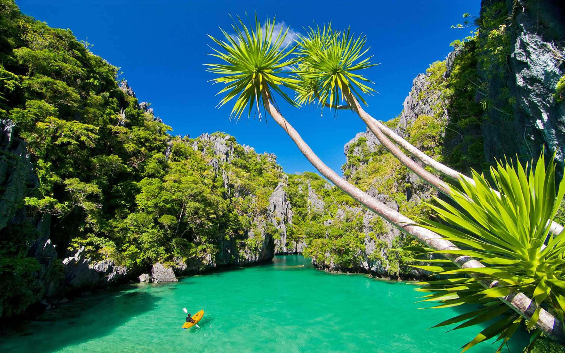 turquoise waters, lush green cliffs, leaning palm trees, Full HD Desktop Wallpaper