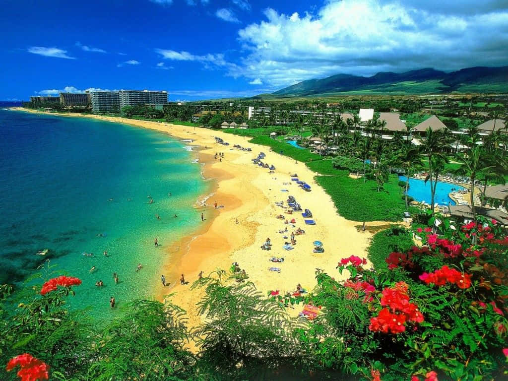 tropical beach, turquoise waters, golden sands, SD Desktop Wallpaper