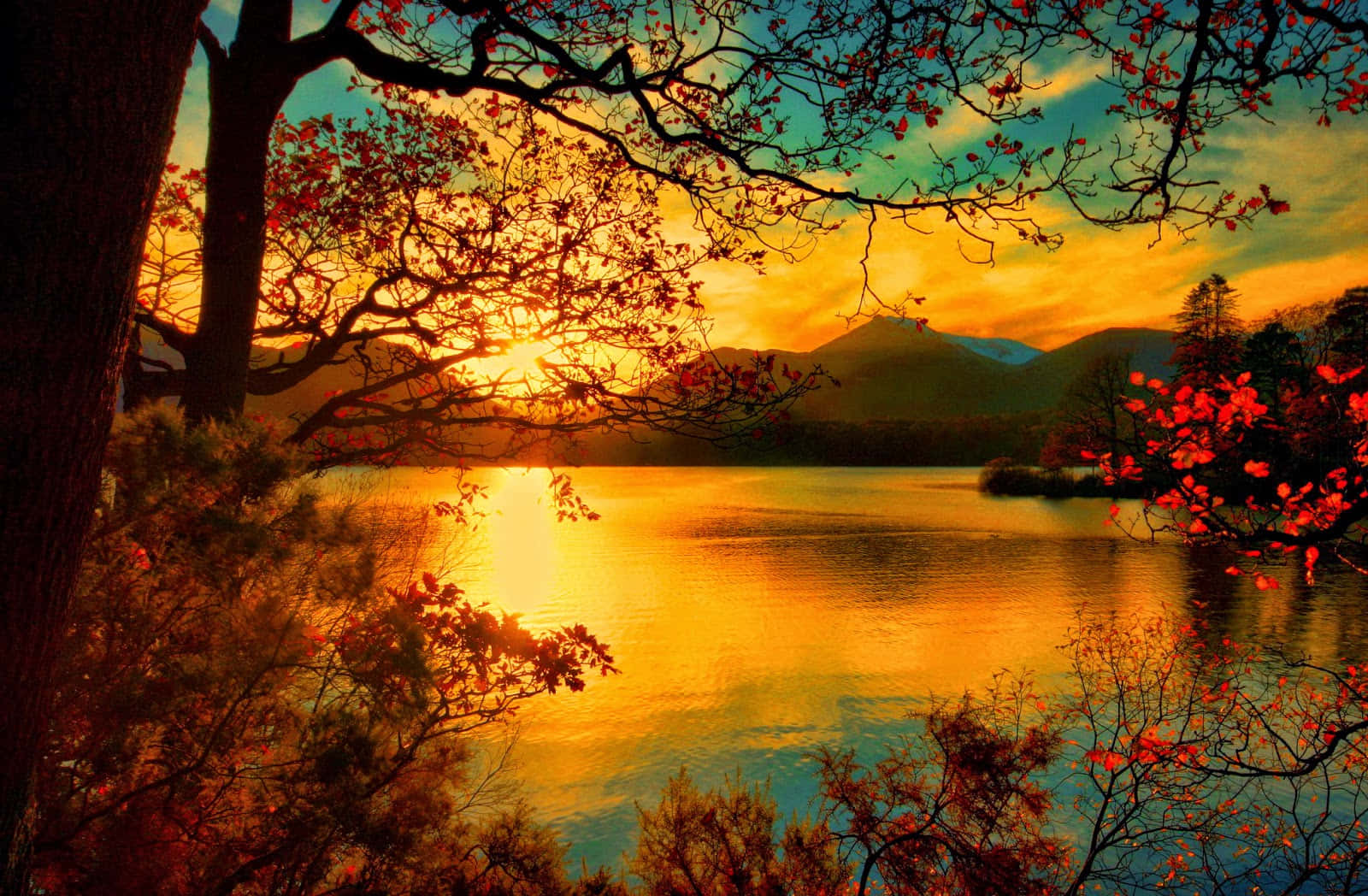 autumn sunset, calm lake, fiery red leaves, HD Desktop Wallpaper