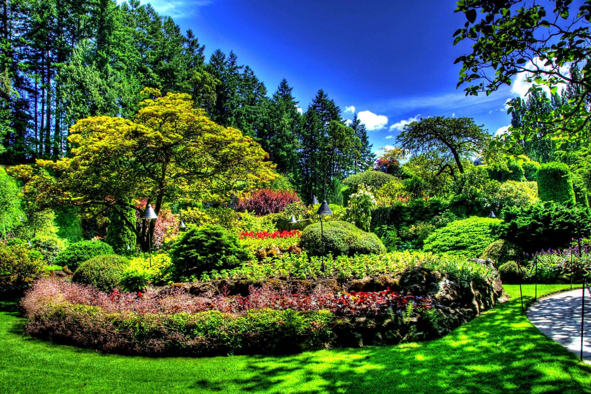 vibrant garden, lush greenery, colorful flowers, Full HD Desktop Wallpaper