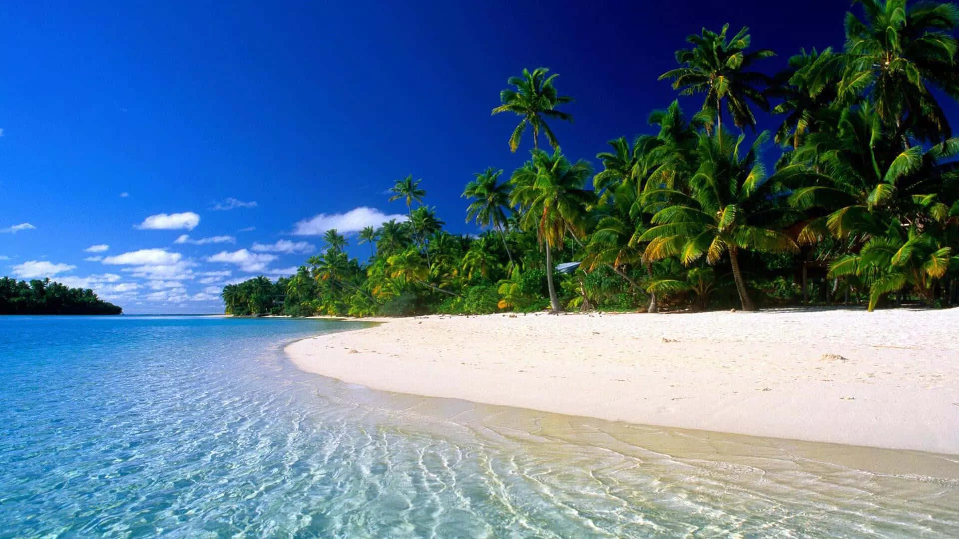 turquoise waters, white sand beach, lush green palm trees, Full HD Desktop Wallpaper