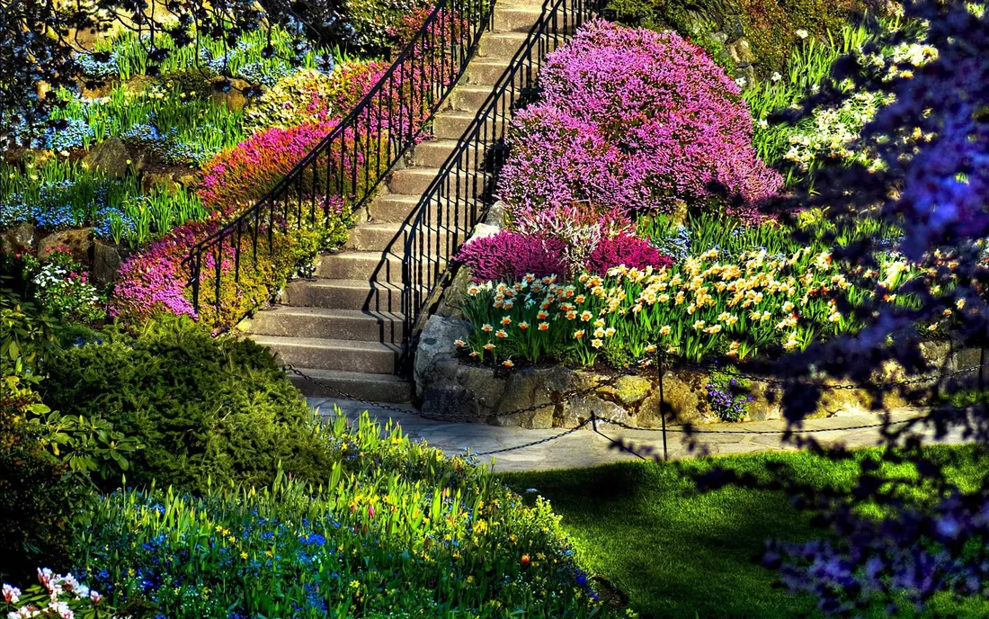 Most Beautiful Spring
