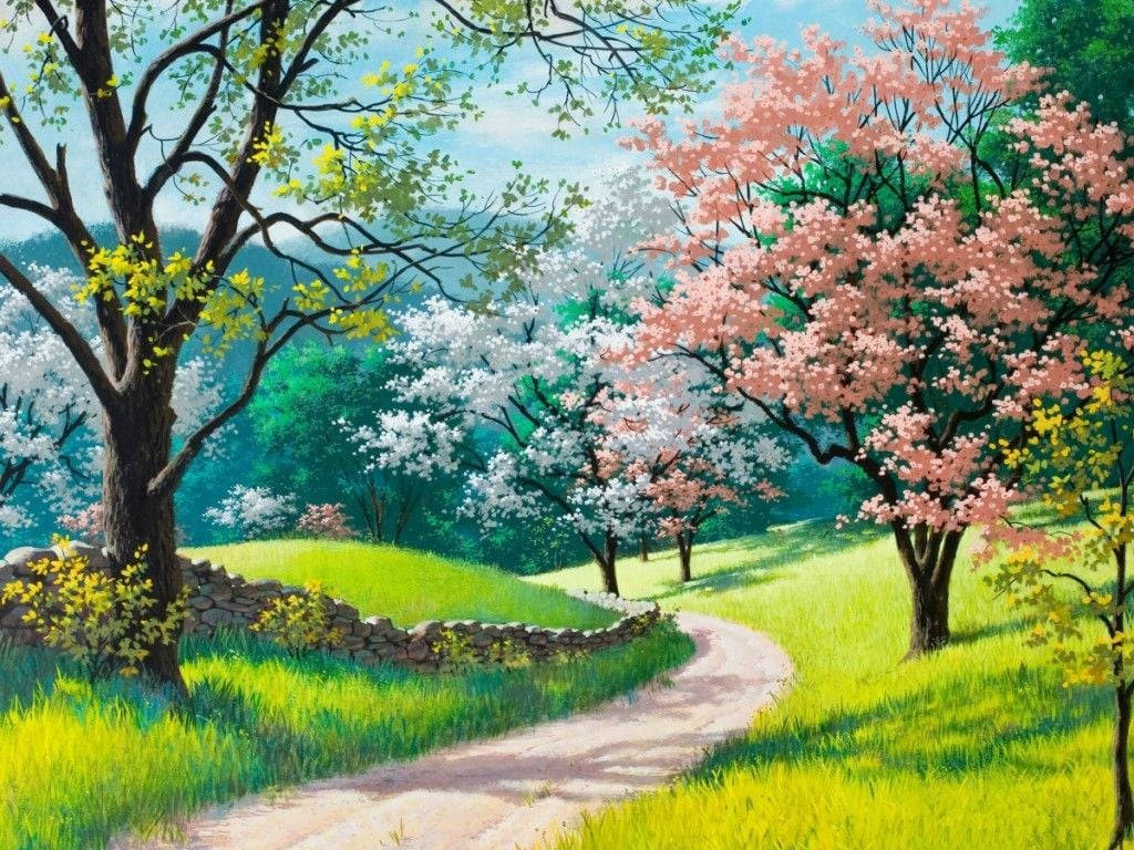 spring meadow, blooming cherry blossom trees, clear blue sky, SD Desktop Wallpaper