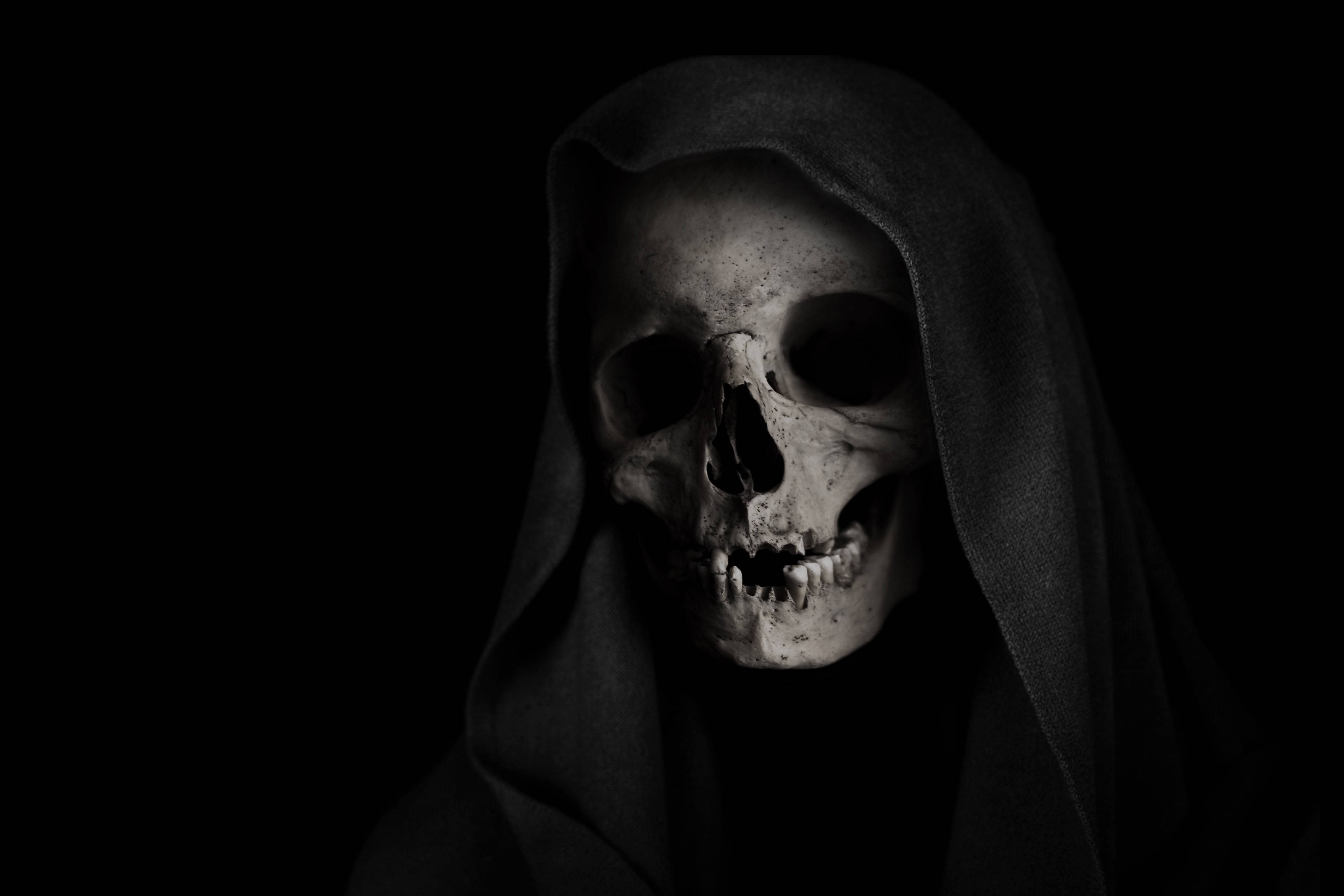 full moon, spooky forest, human skull, 4K Desktop Wallpaper