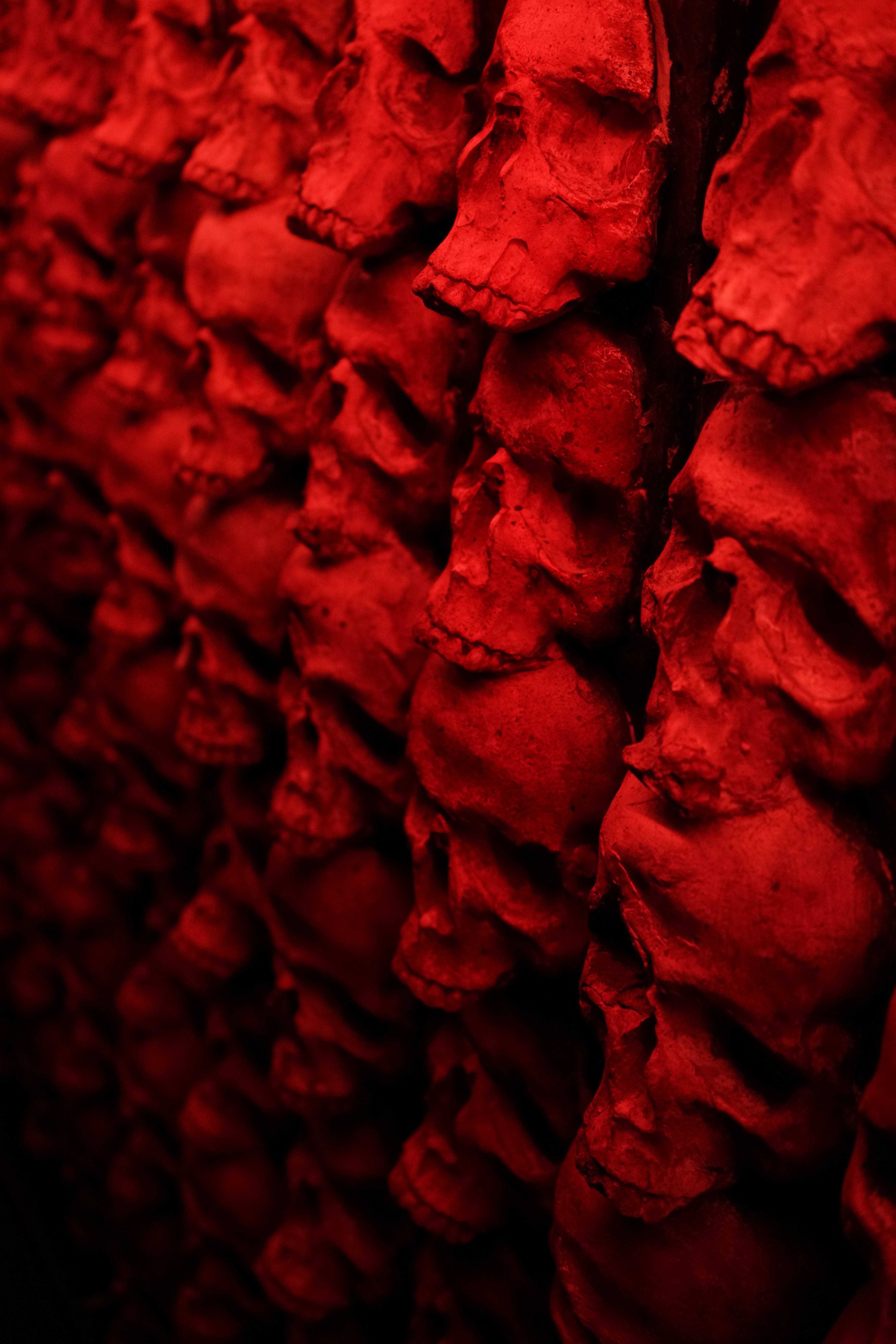 frightening forest night scene, human skulls, deep red light, 8K Phone Wallpaper