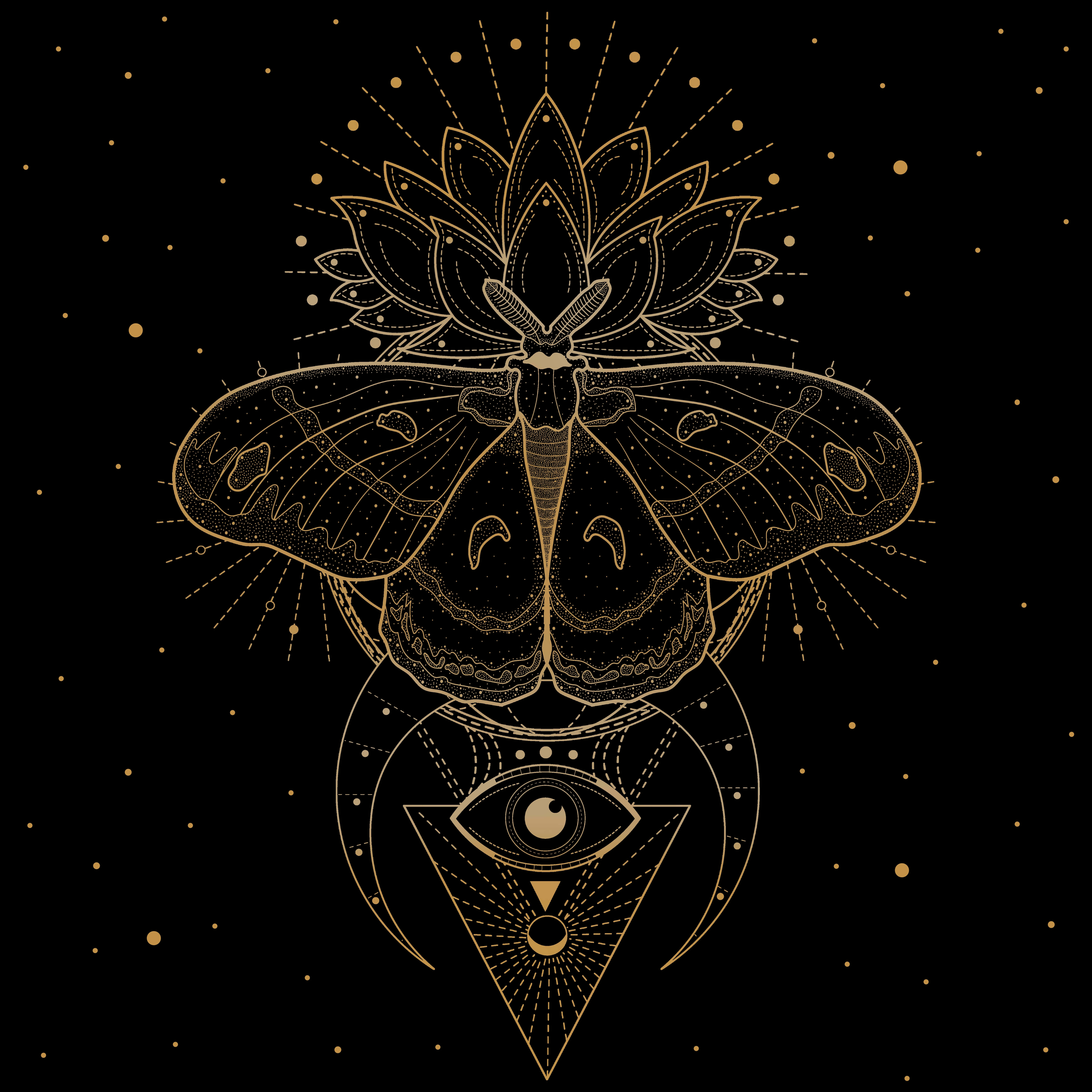golden moth, intricate wings, lotus, 5K Desktop Wallpaper