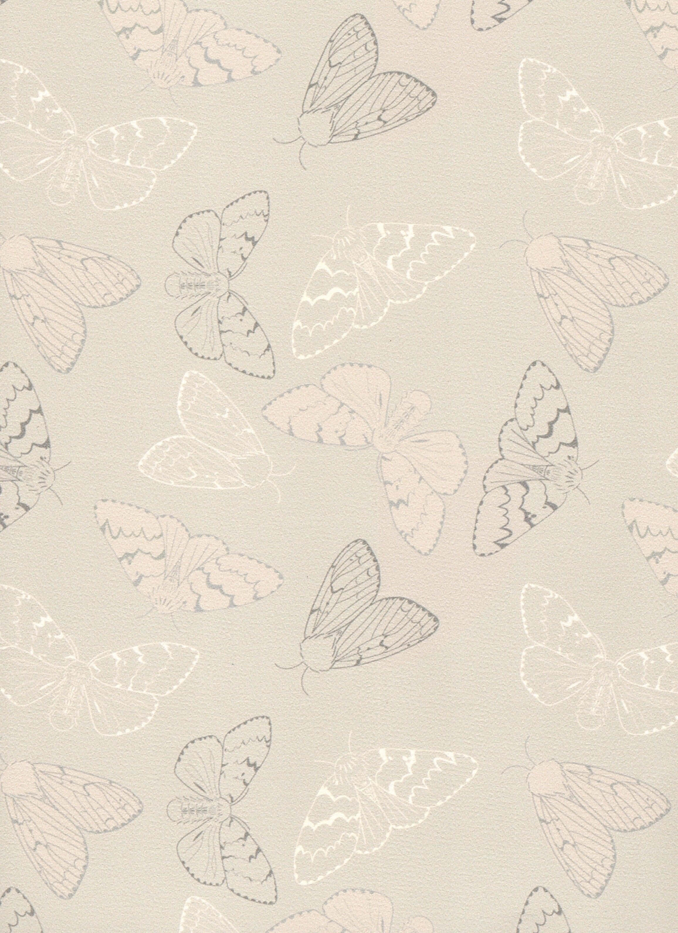 moth pattern, beige, gray, 2K Phone Wallpaper