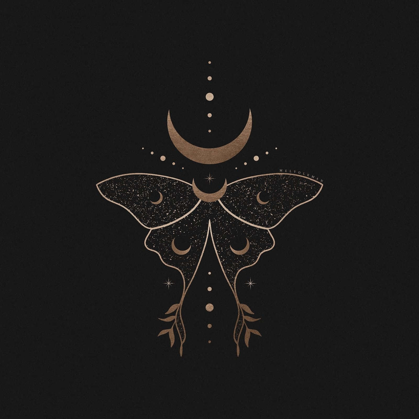 golden moth, starry wings, crescent moons, HD Desktop Wallpaper