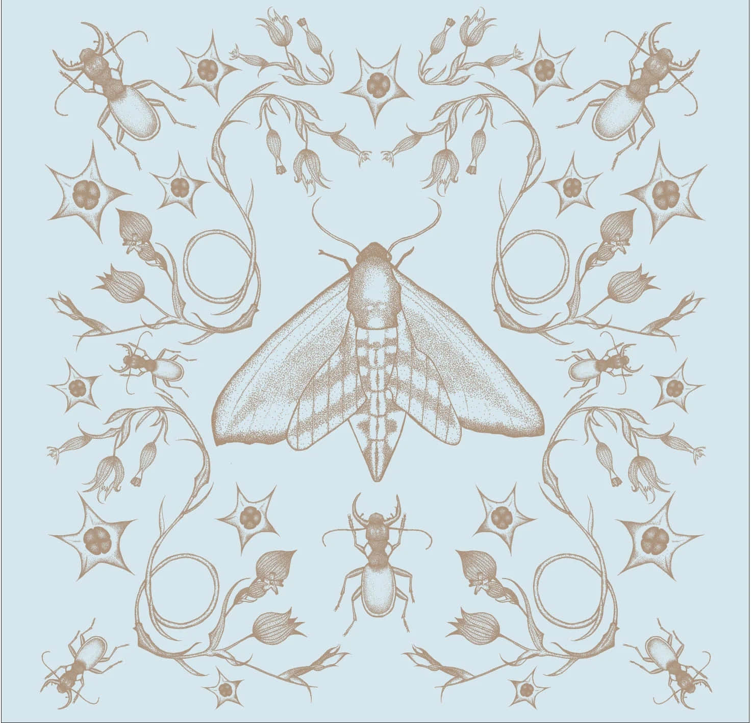 symmetrical mothand floral pattern, moth, floral swirls, HD Desktop Wallpaper
