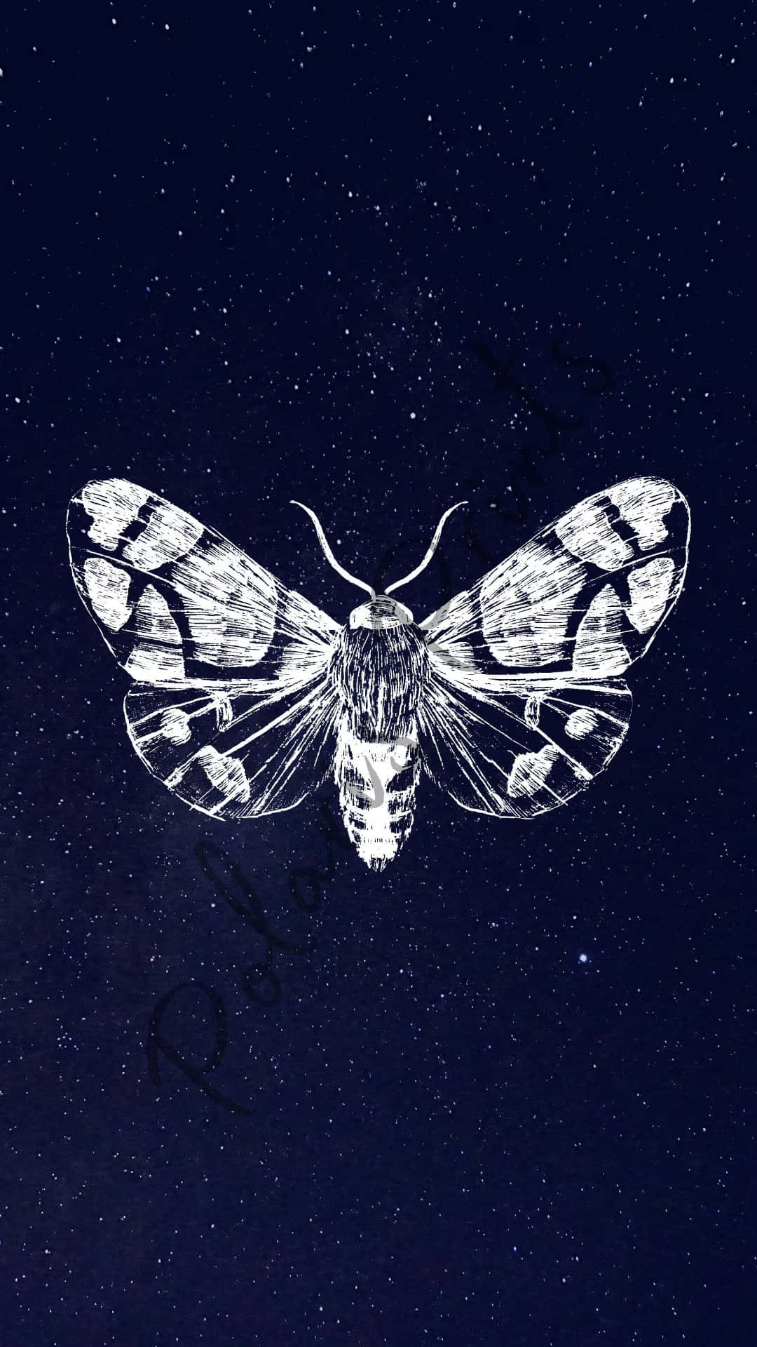 Moth Starry Night Aesthetic, white ink sketch, moth, Full HD Phone Wallpaper