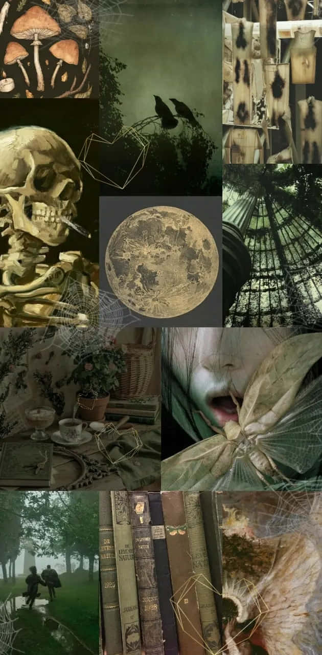 Moth Aesthetic, dark gothic collage, smoking skull, HD Phone Wallpaper