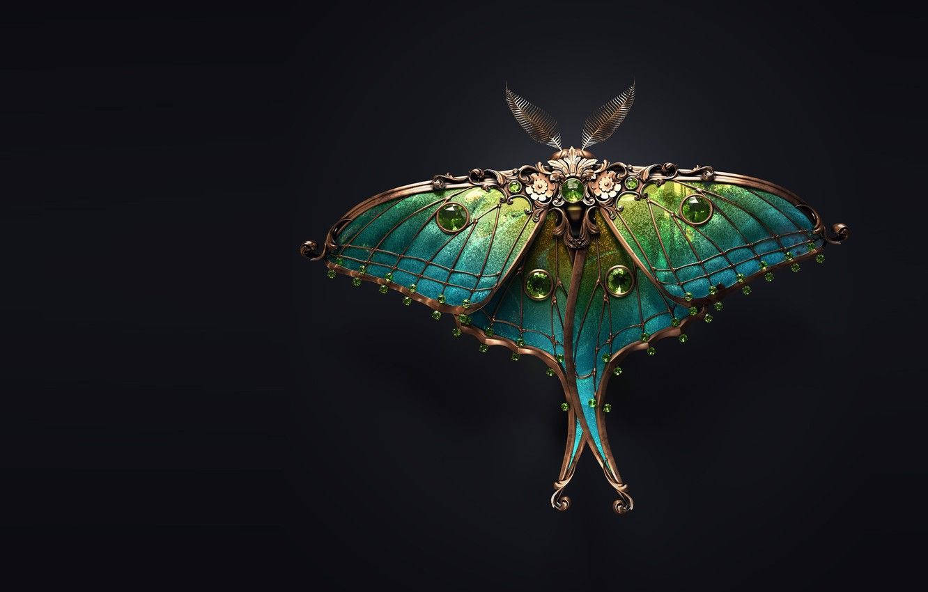 Moth, emerald wings, gold filigree, HD Desktop Wallpaper