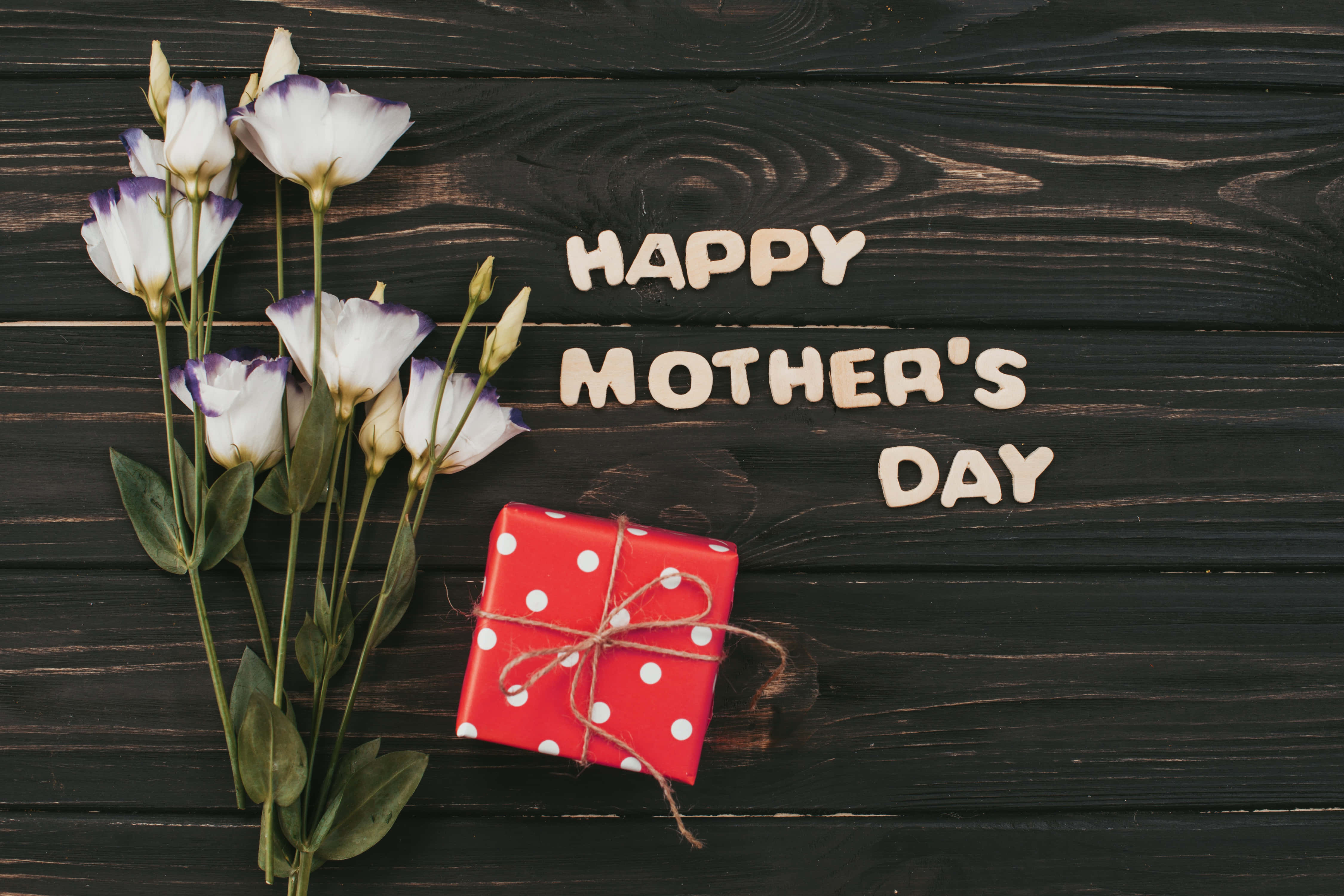 Happy Mother's Day, white and purple lisianthus flowers, red polka dot gift box, 4K Desktop Wallpaper