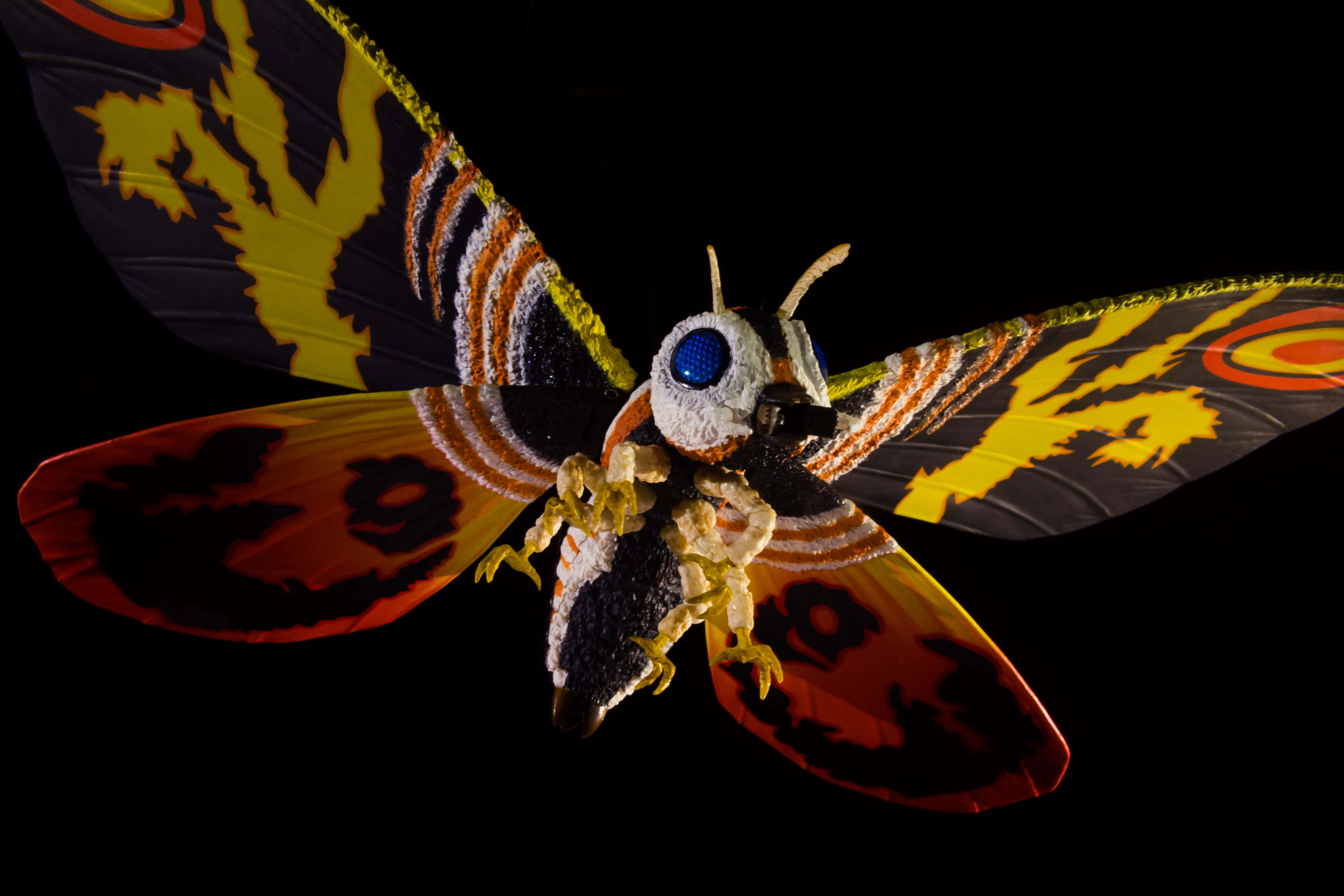 Mothra, fiery orange yellow and black wings, striking blue eyes, 5K Desktop Wallpaper