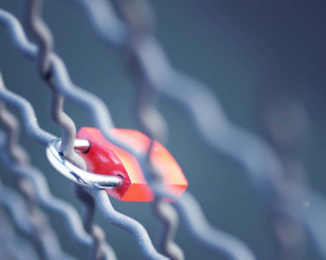 vibrant red padlock, weathered chain-link fence, blurred cool-toned background, HD Desktop Wallpaper