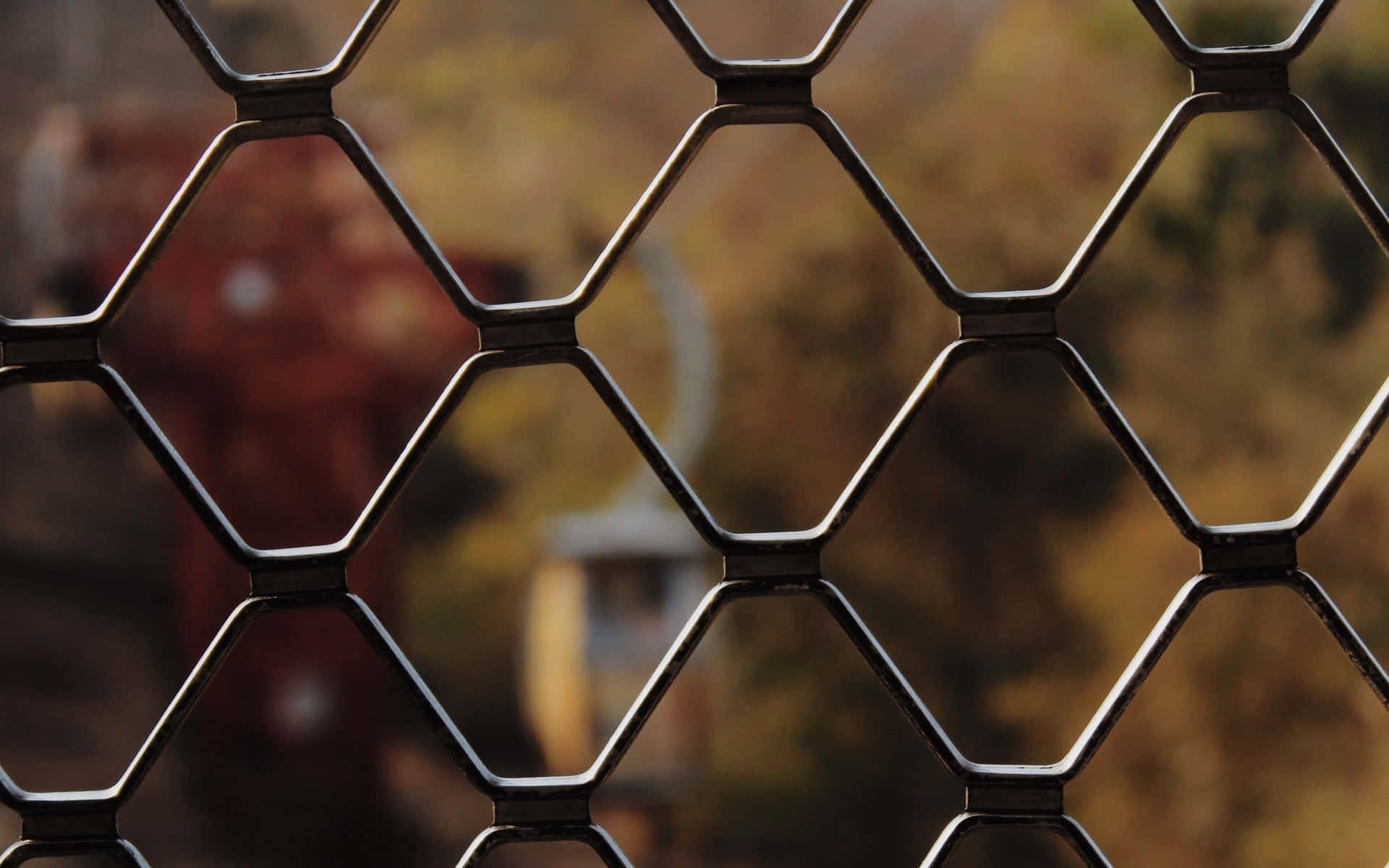 motion blur, hexagonal metal mesh fence, autumn foliage, Full HD Desktop Wallpaper