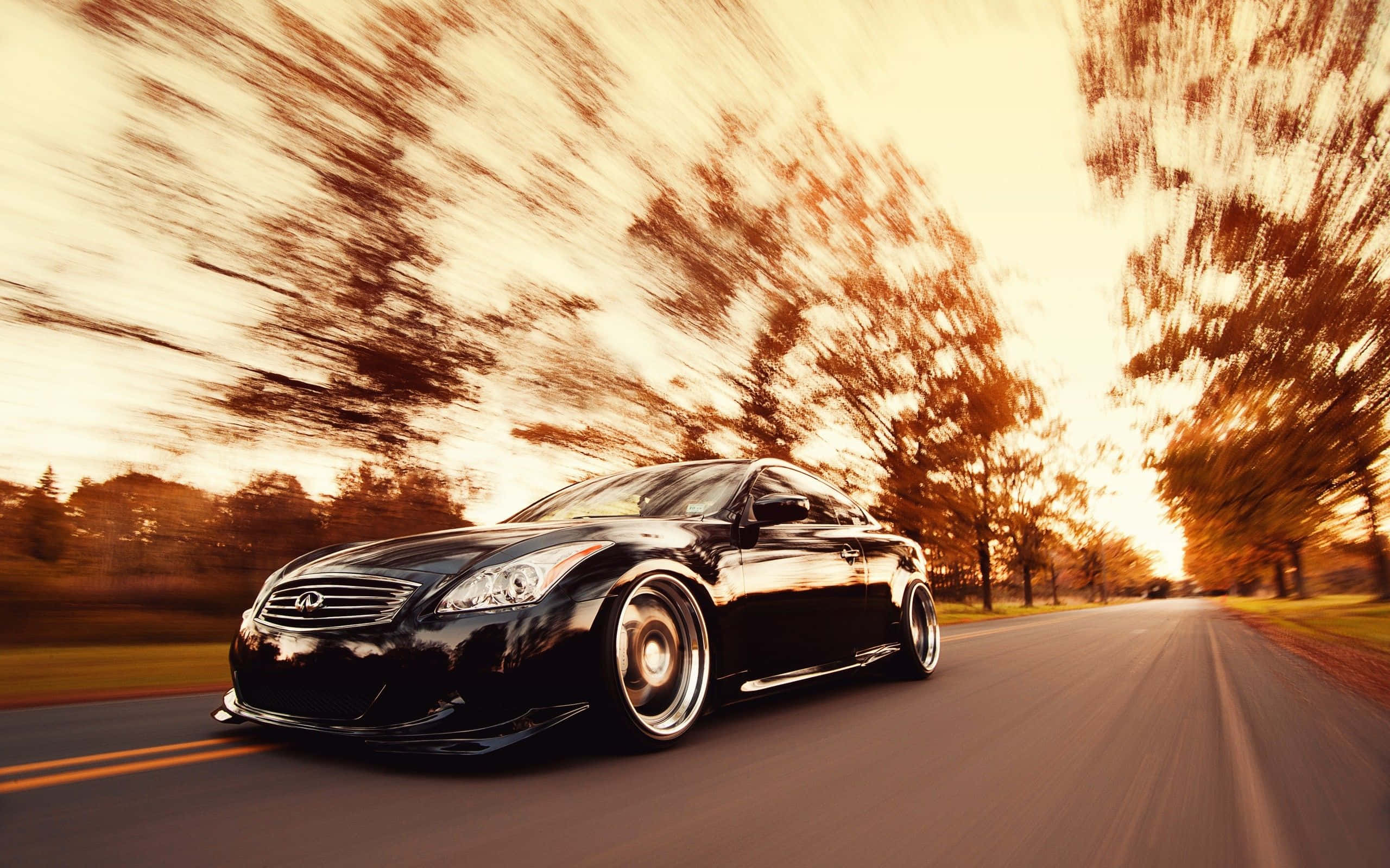 sleek black sports car, tree-lined road, golden hour, 2K Desktop Wallpaper