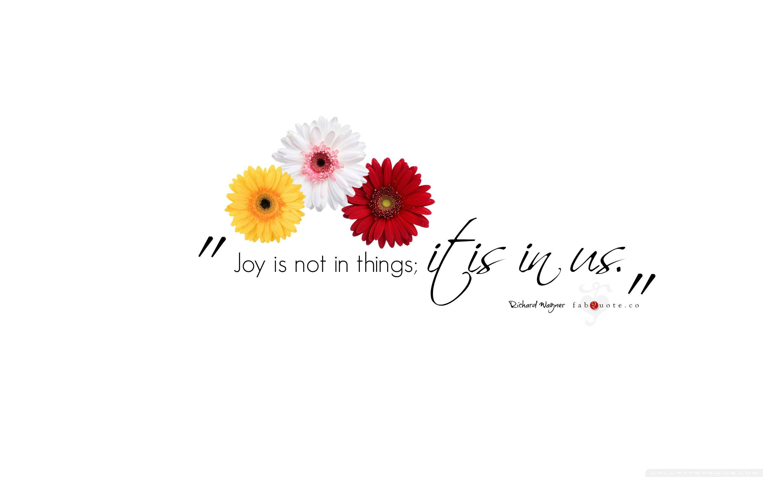 Motivation Macbook, 2560 x 1600, gerbera daisies, 2K Desktop Wallpaper