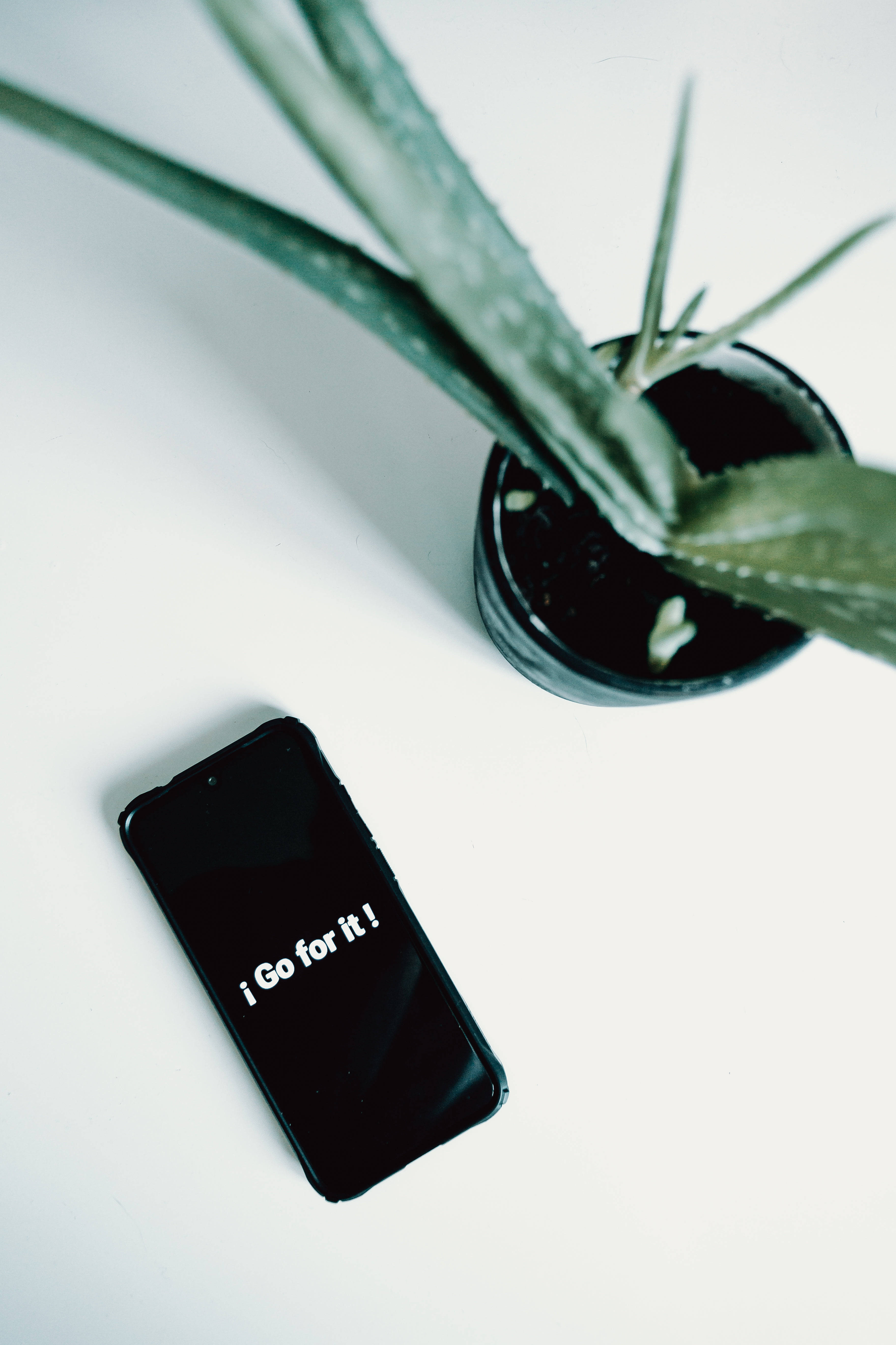 black smartphone, i Go for it!, potted aloe vera plant, 5K Phone Wallpaper