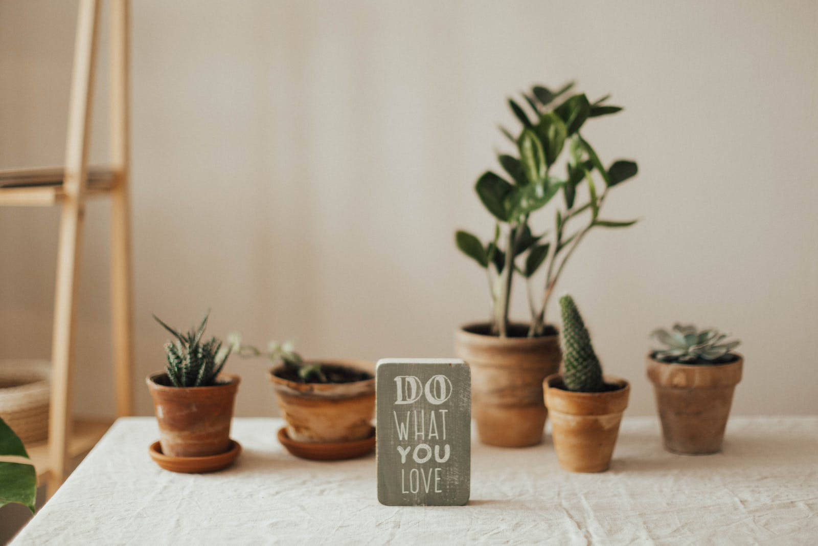 rustic wooden table, terracotta pots, succulents, HD Desktop Wallpaper