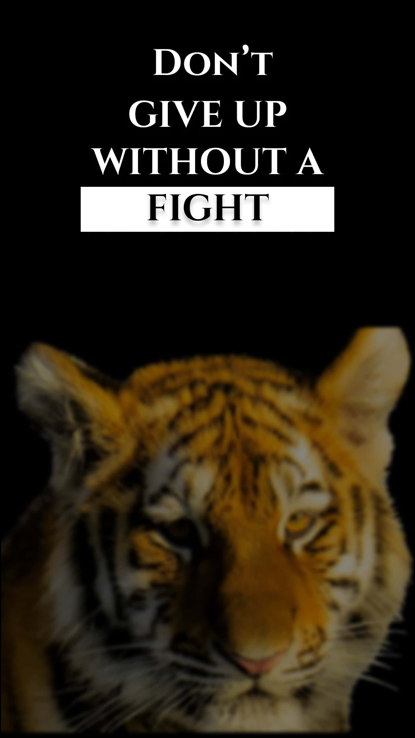 tiger, black background, white text, 2K Phone Wallpaper