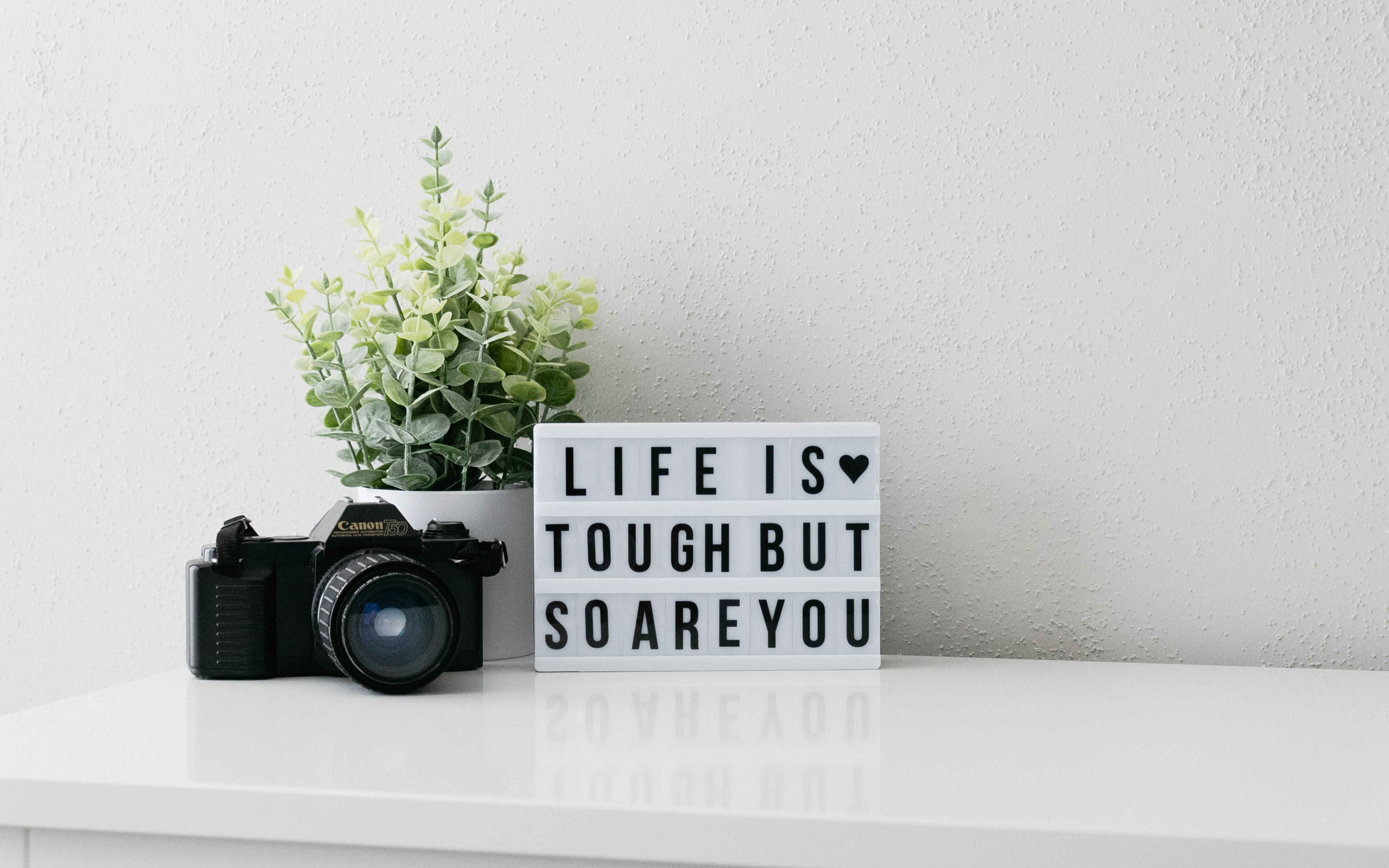 LIFE IS TOUGH BUT SO ARE YOU, black camera, green plant, 4K Desktop Wallpaper