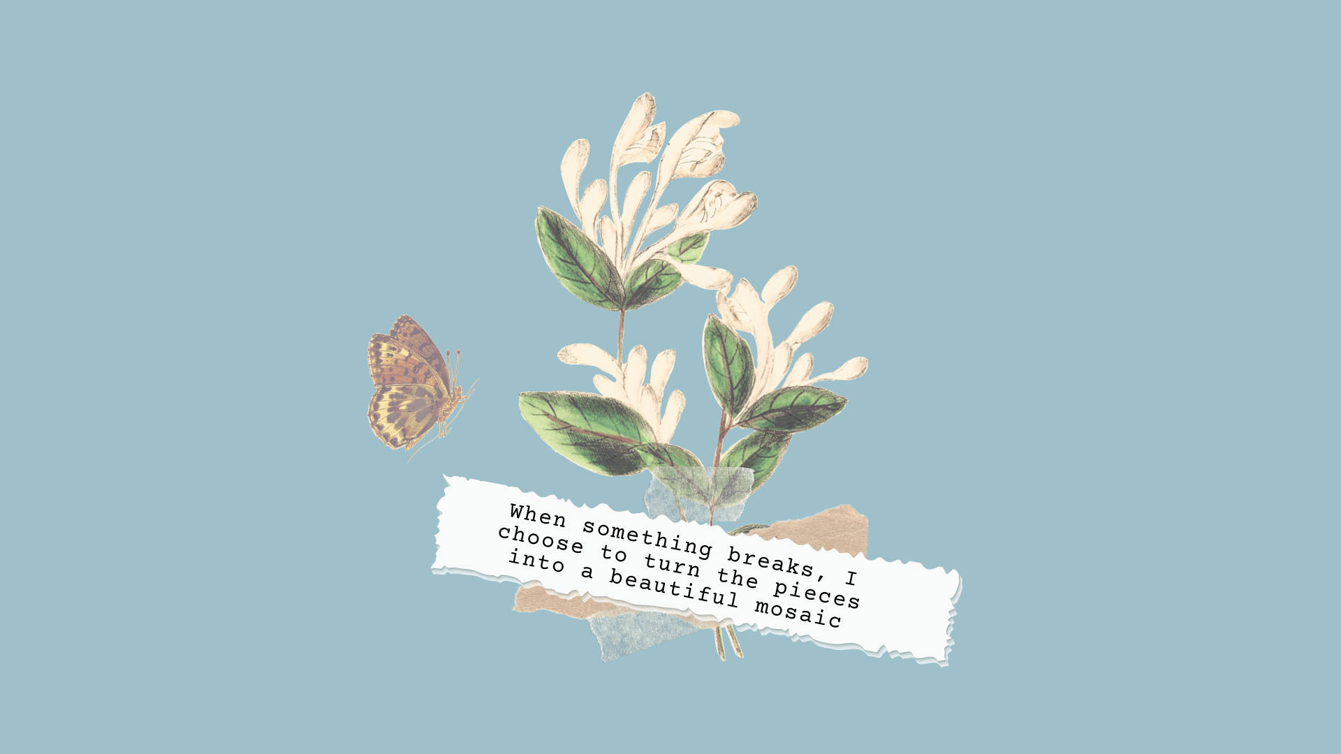 floral, botanical illustration, flowering plant, Full HD Desktop Wallpaper