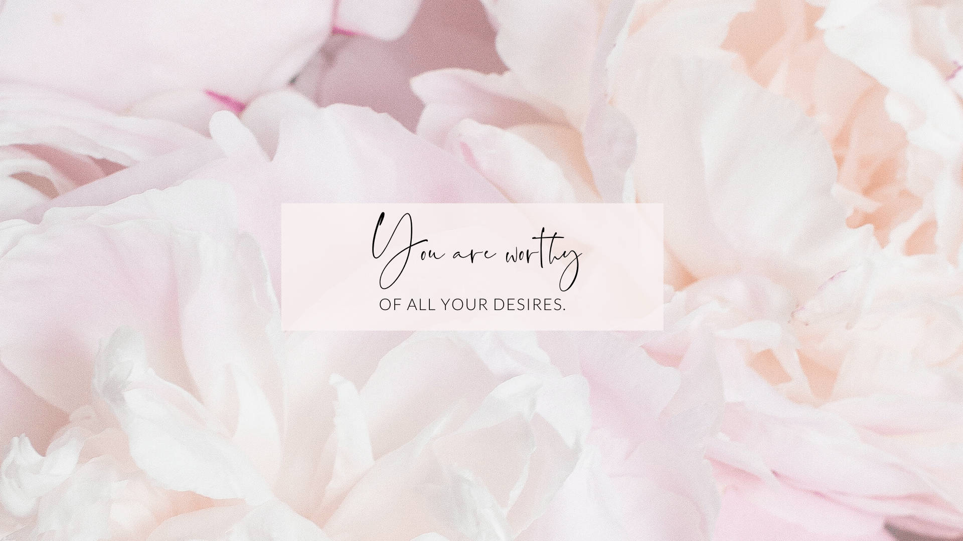 soft pink peony petals, translucent text box, you are worthy of all your desires, Full HD Desktop Wallpaper