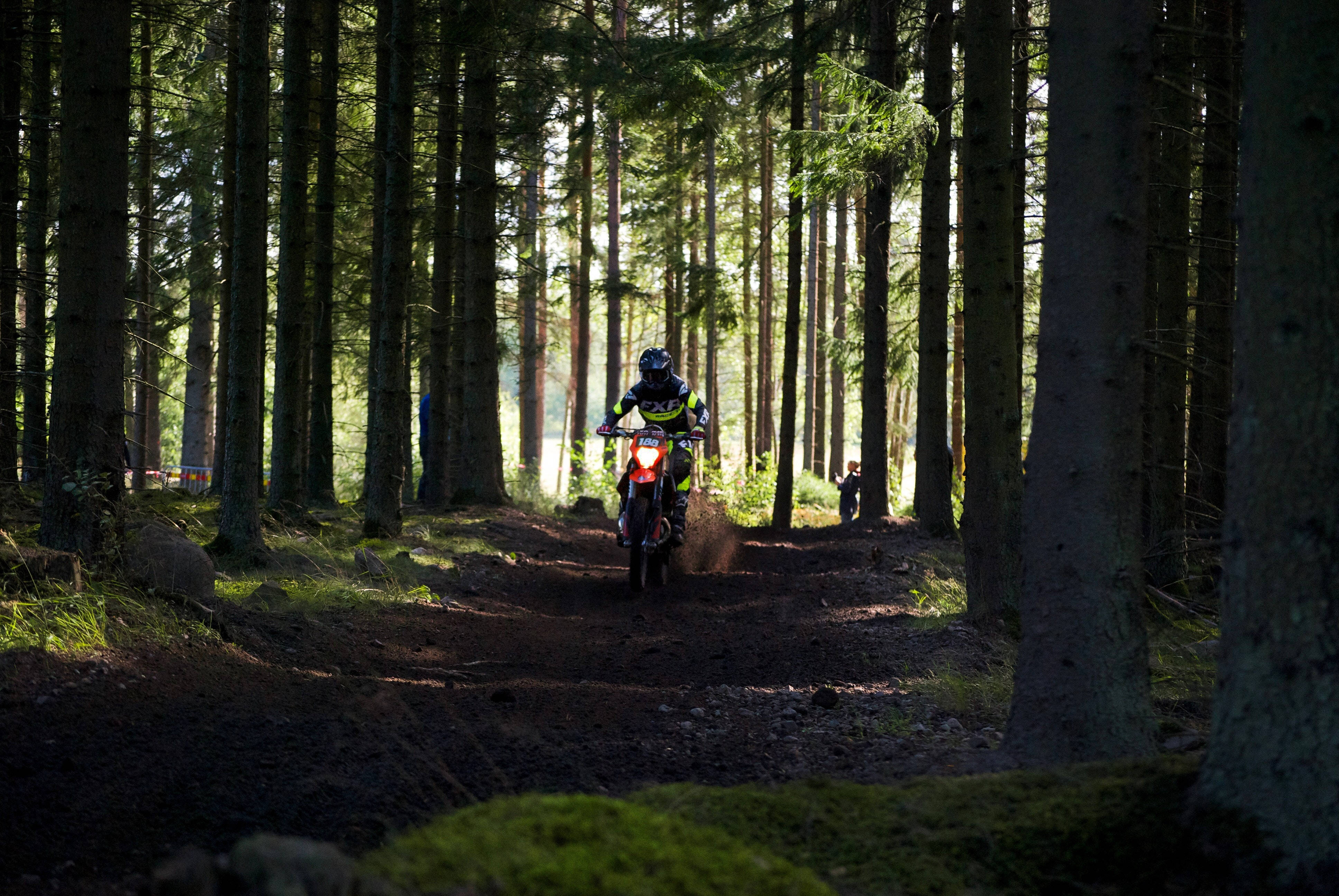 motocross rider, sunlit forest trail, towering pine trees, 4K Desktop Wallpaper