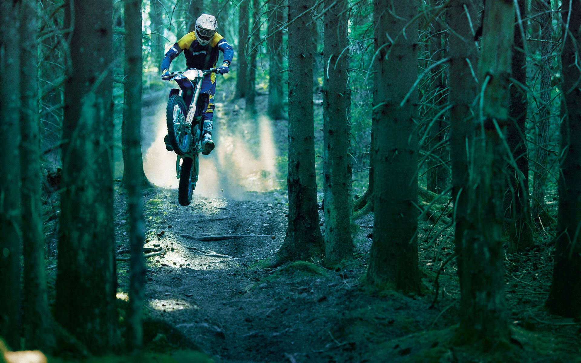 motocross, forest trail, dirt bike, Full HD Desktop Wallpaper