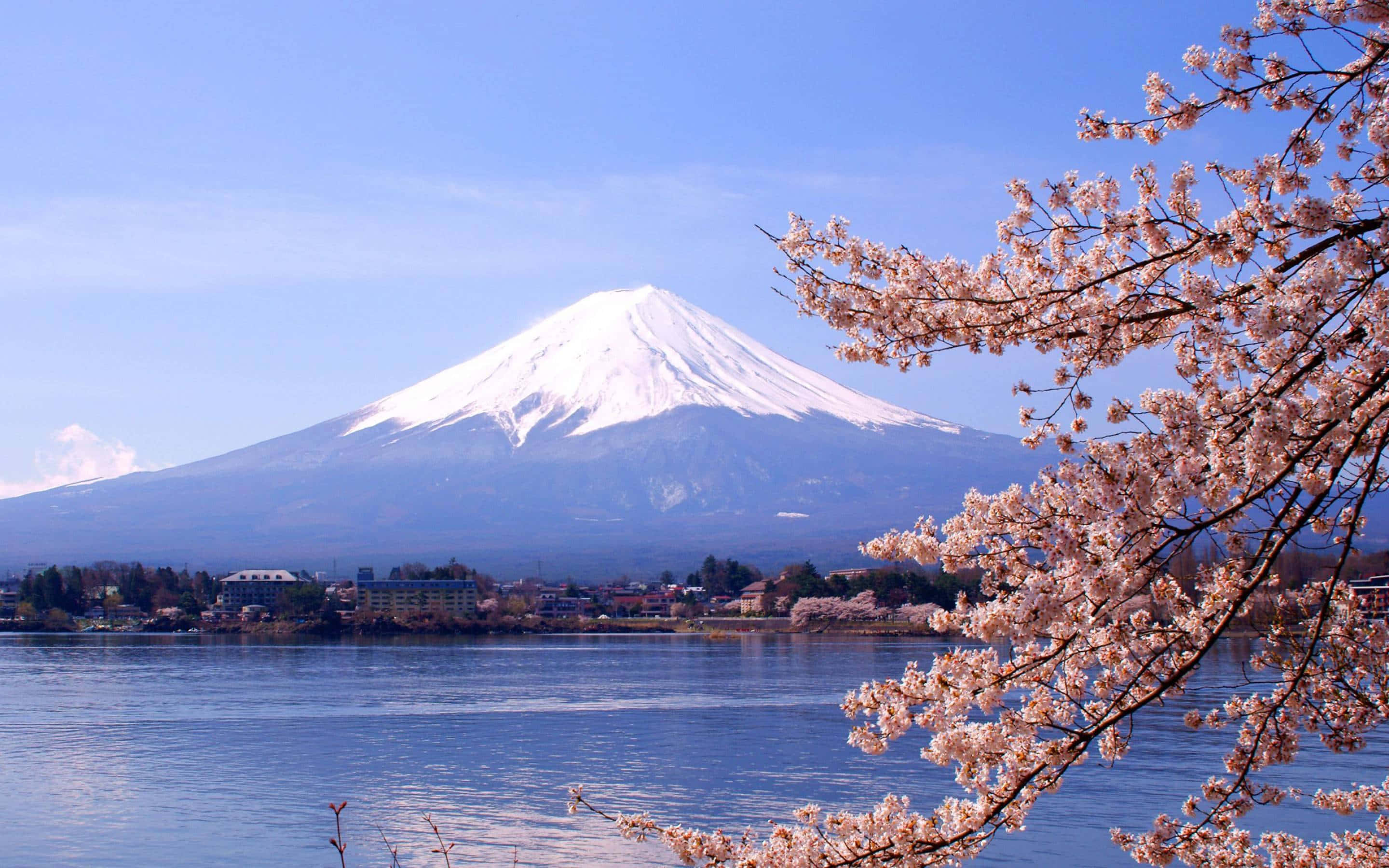 Mount Fuji, cherry blossoms, lake, 2K Desktop Wallpaper