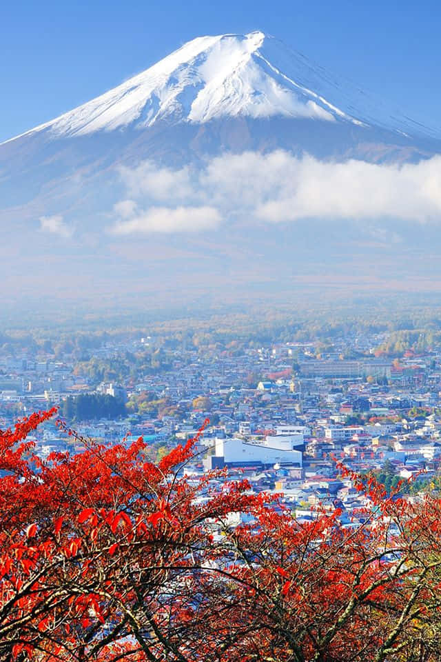 Mount Fuji, snow-capped, autumn foliage, SD Phone Wallpaper