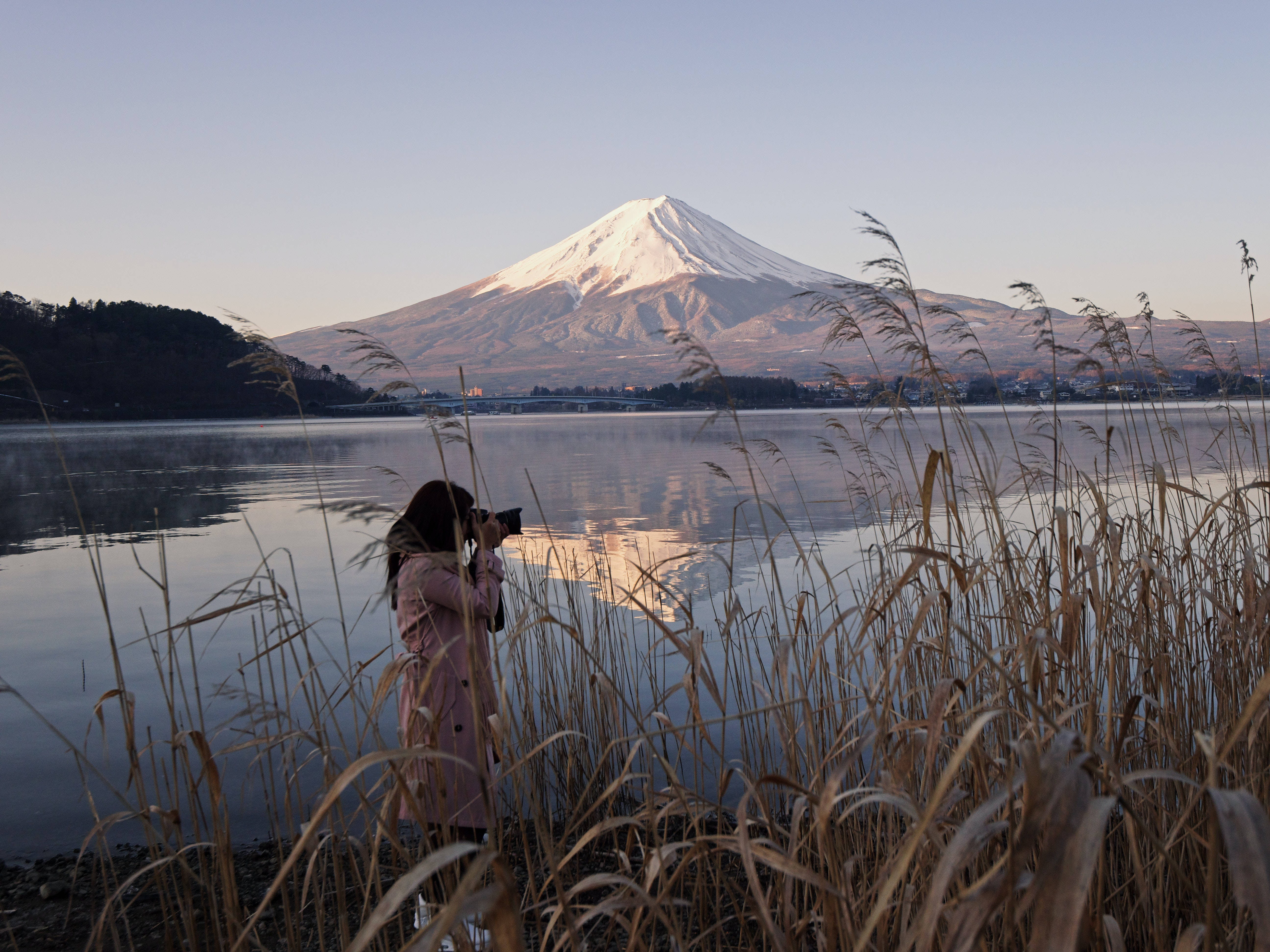 Mount Fuji, pink coat, calm waters, 5K Desktop Wallpaper