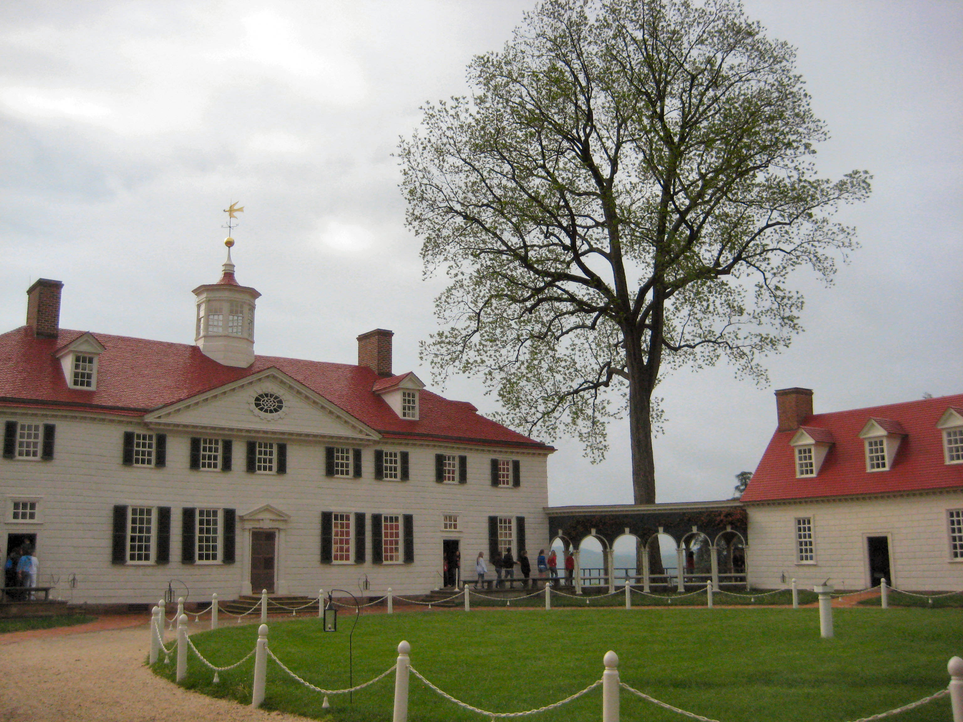 Mount Vernon, solitary tree, white colonial mansion, 2K Desktop Wallpaper