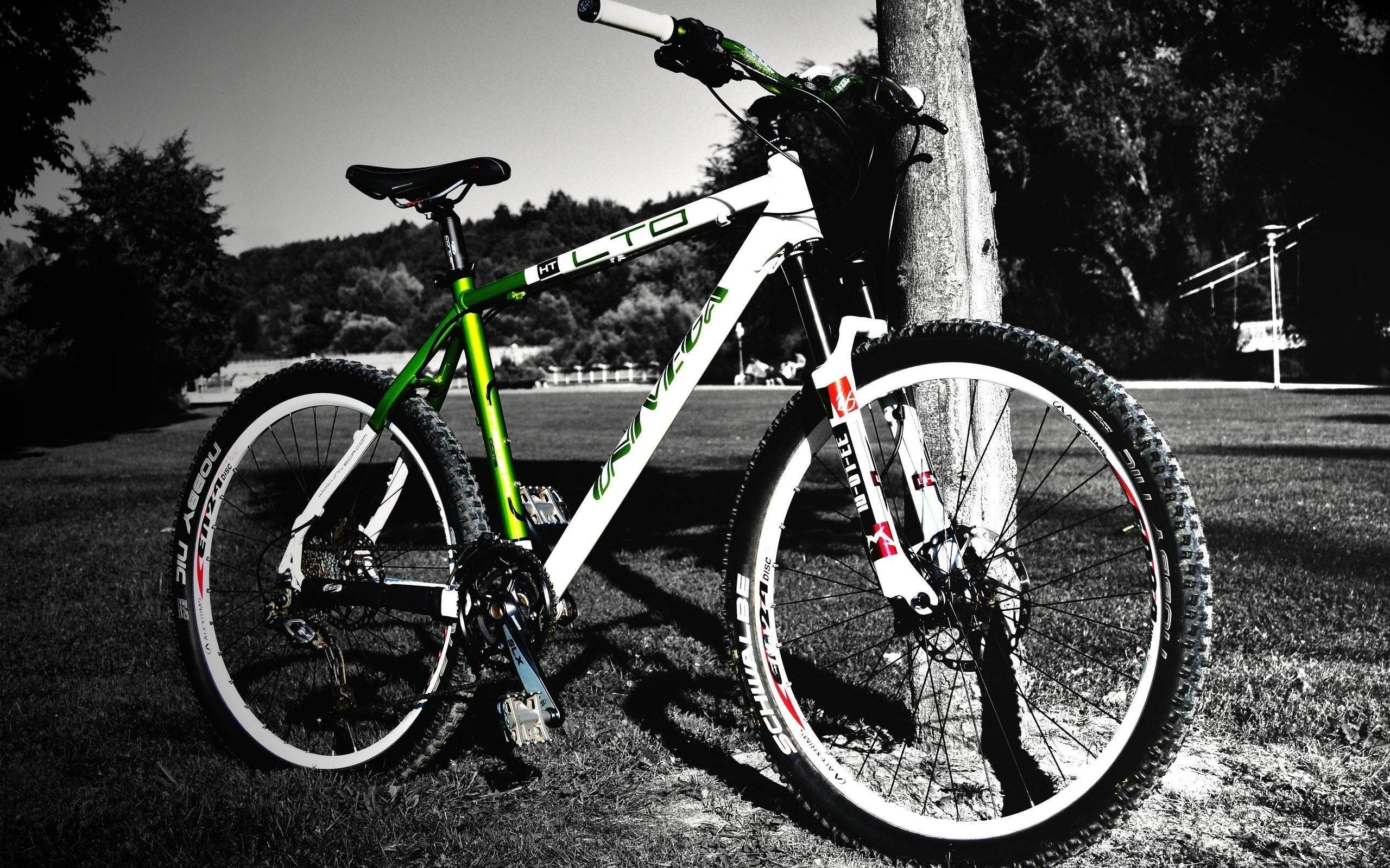grayscale mtb, tree park, black and white mountain bike, 2K Desktop Wallpaper